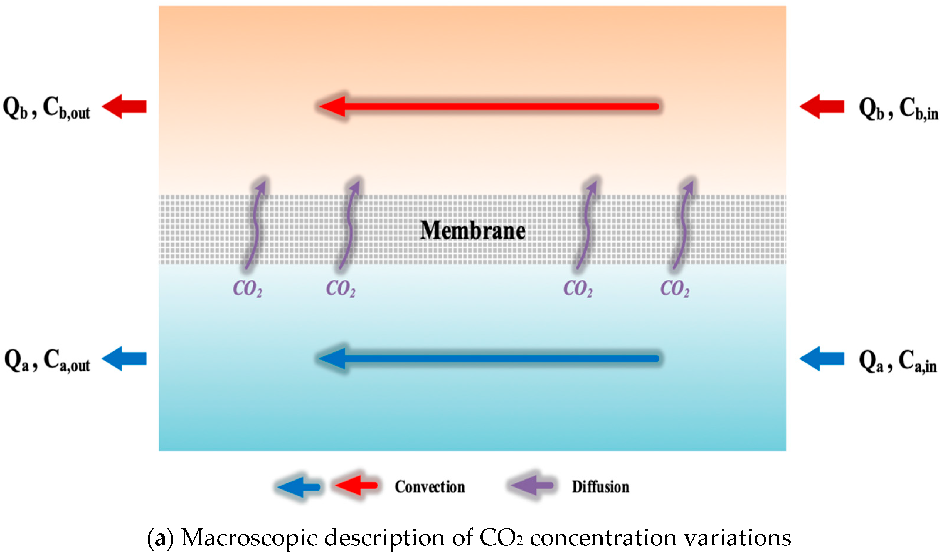 Membranes 13 00899 g007a