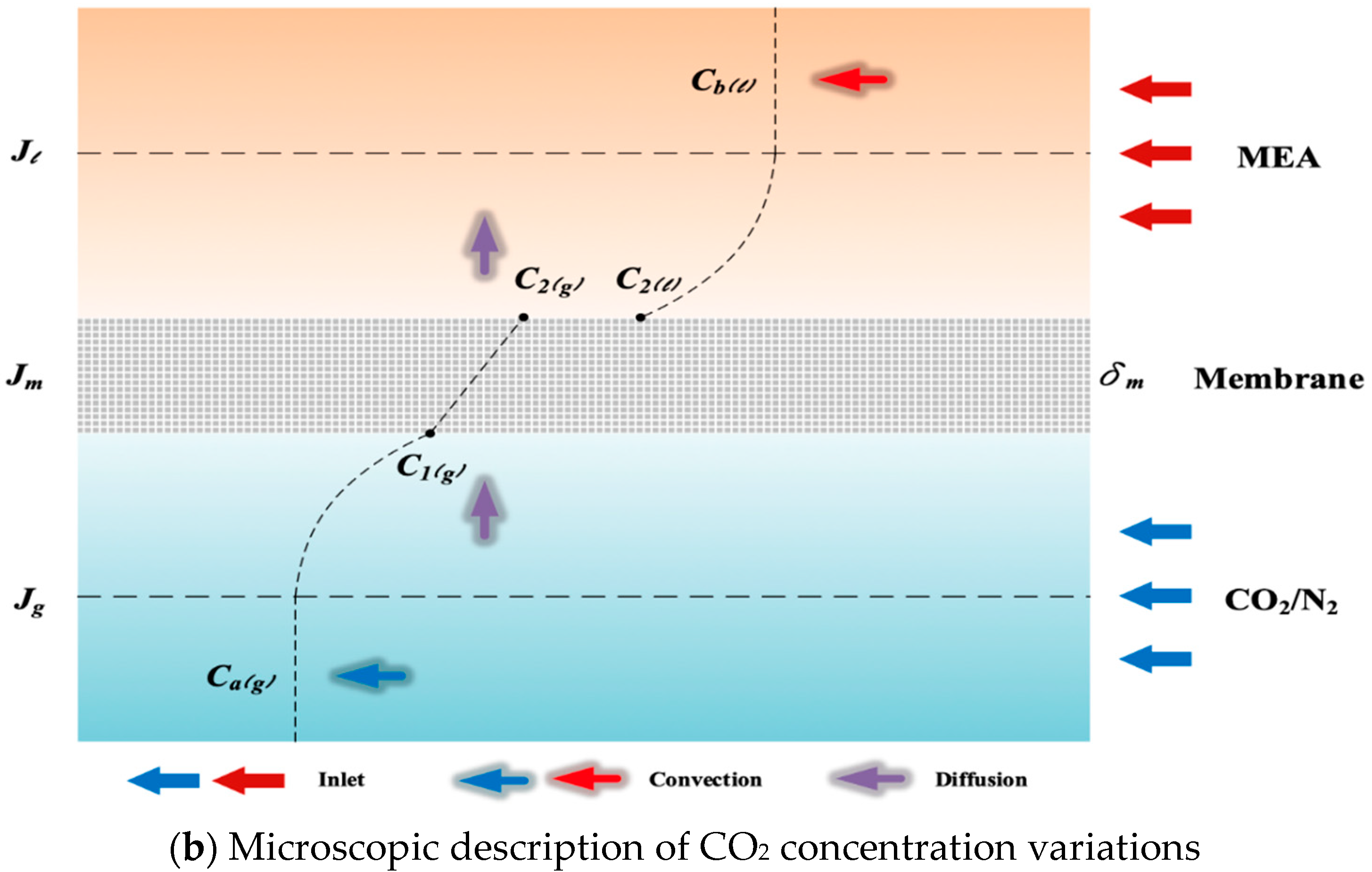 Membranes 13 00899 g007b