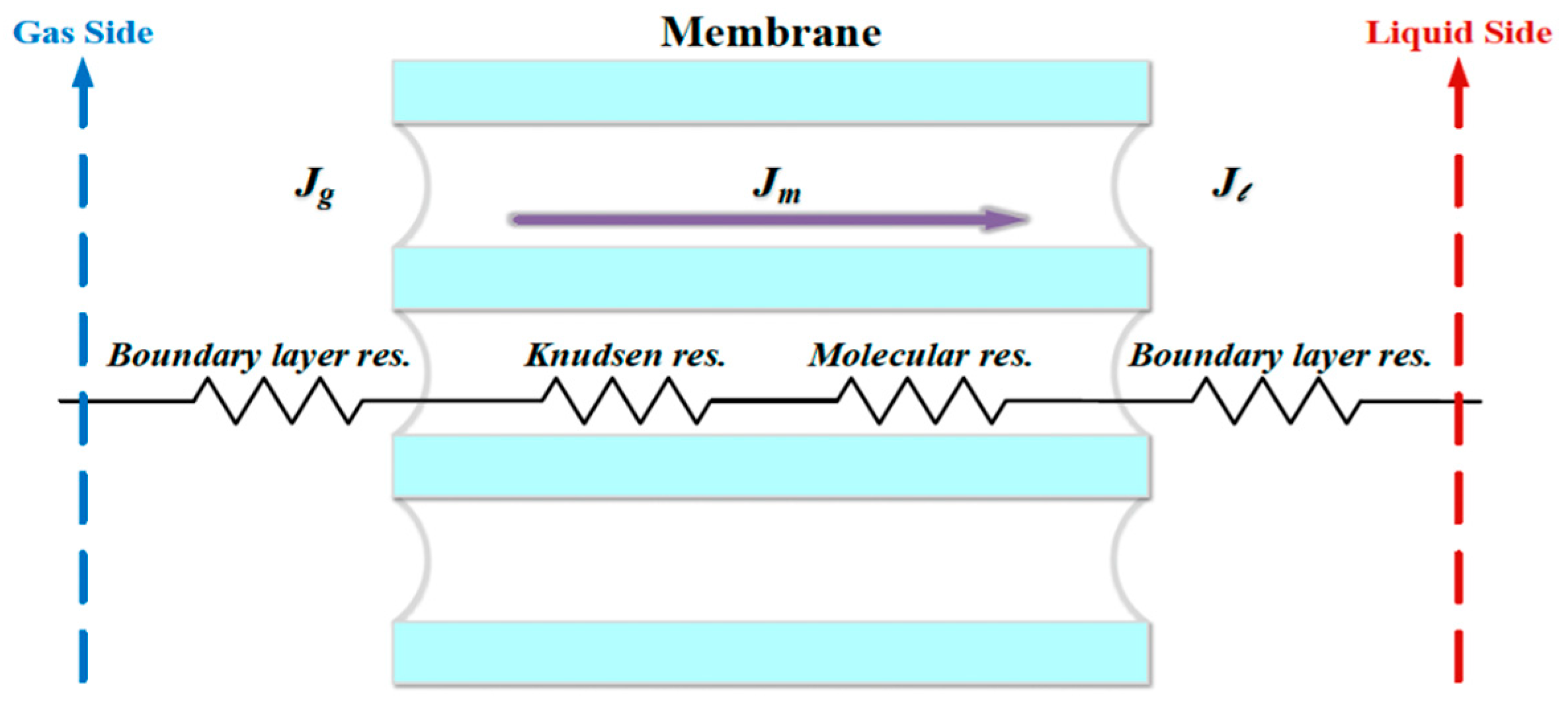 Membranes 13 00899 g008