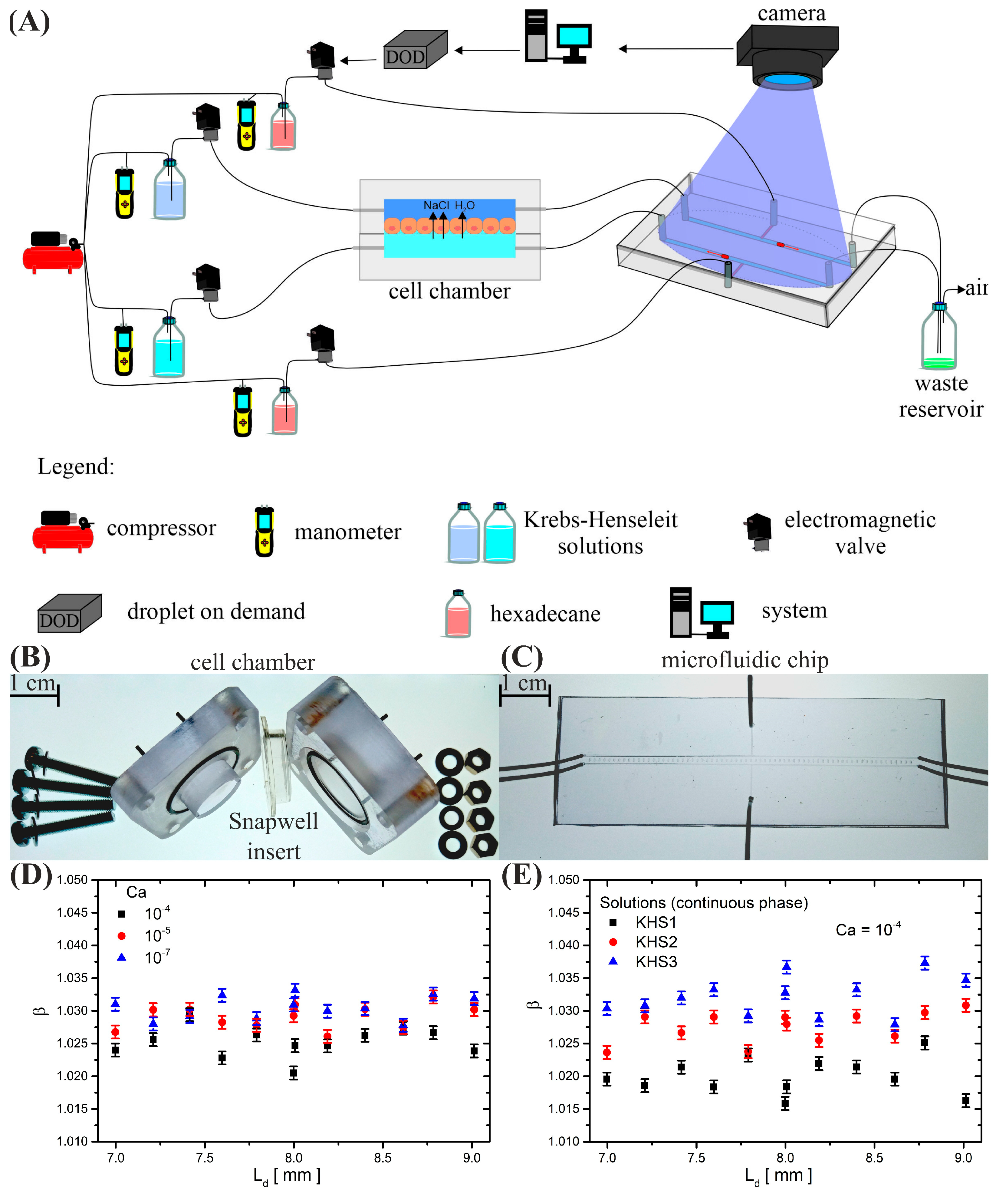 Membranes 13 00901 g001