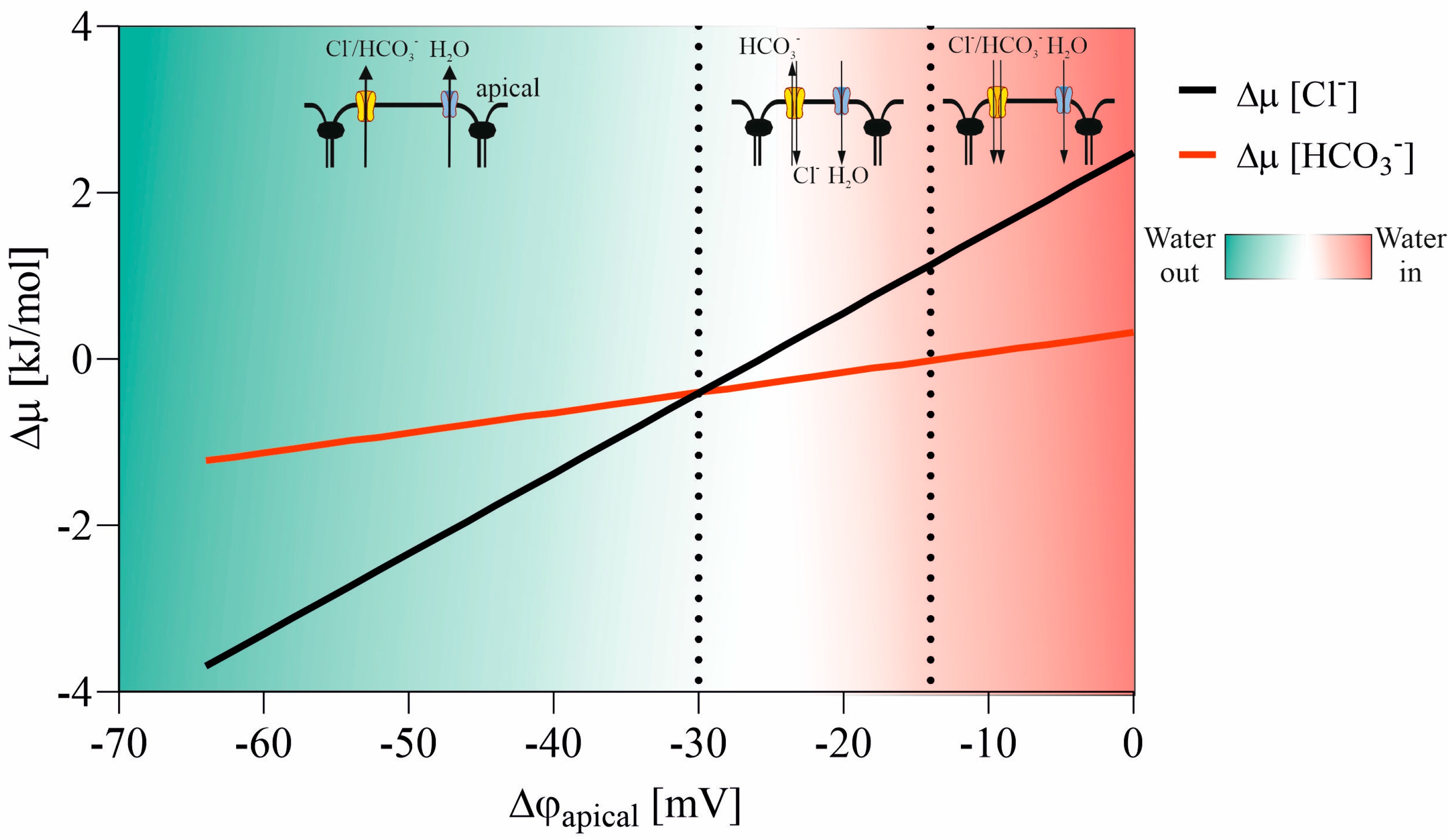 Membranes 13 00901 g005