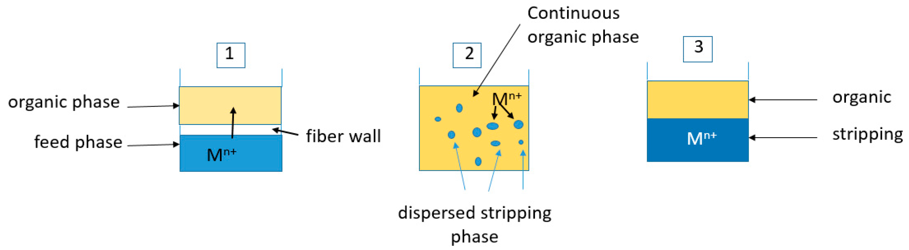 Membranes 13 00902 g002