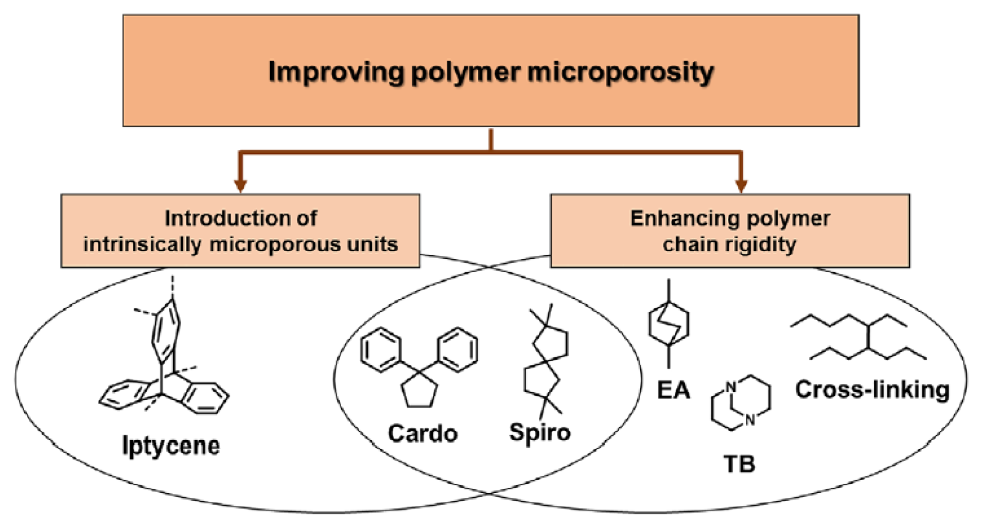 Membranes 13 00903 g002
