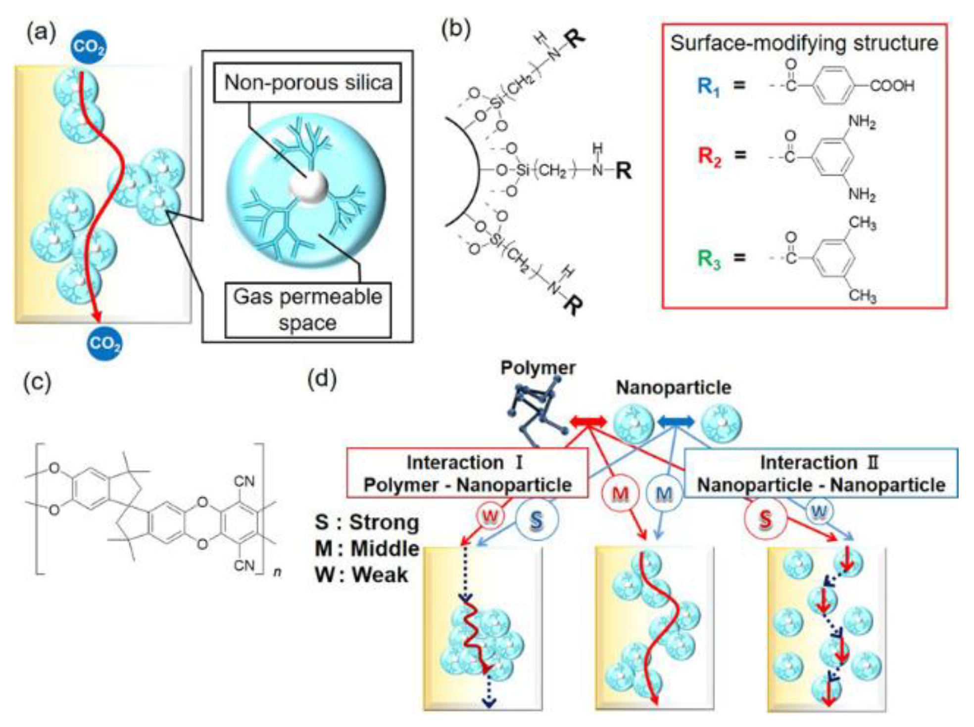 Membranes 13 00903 g006