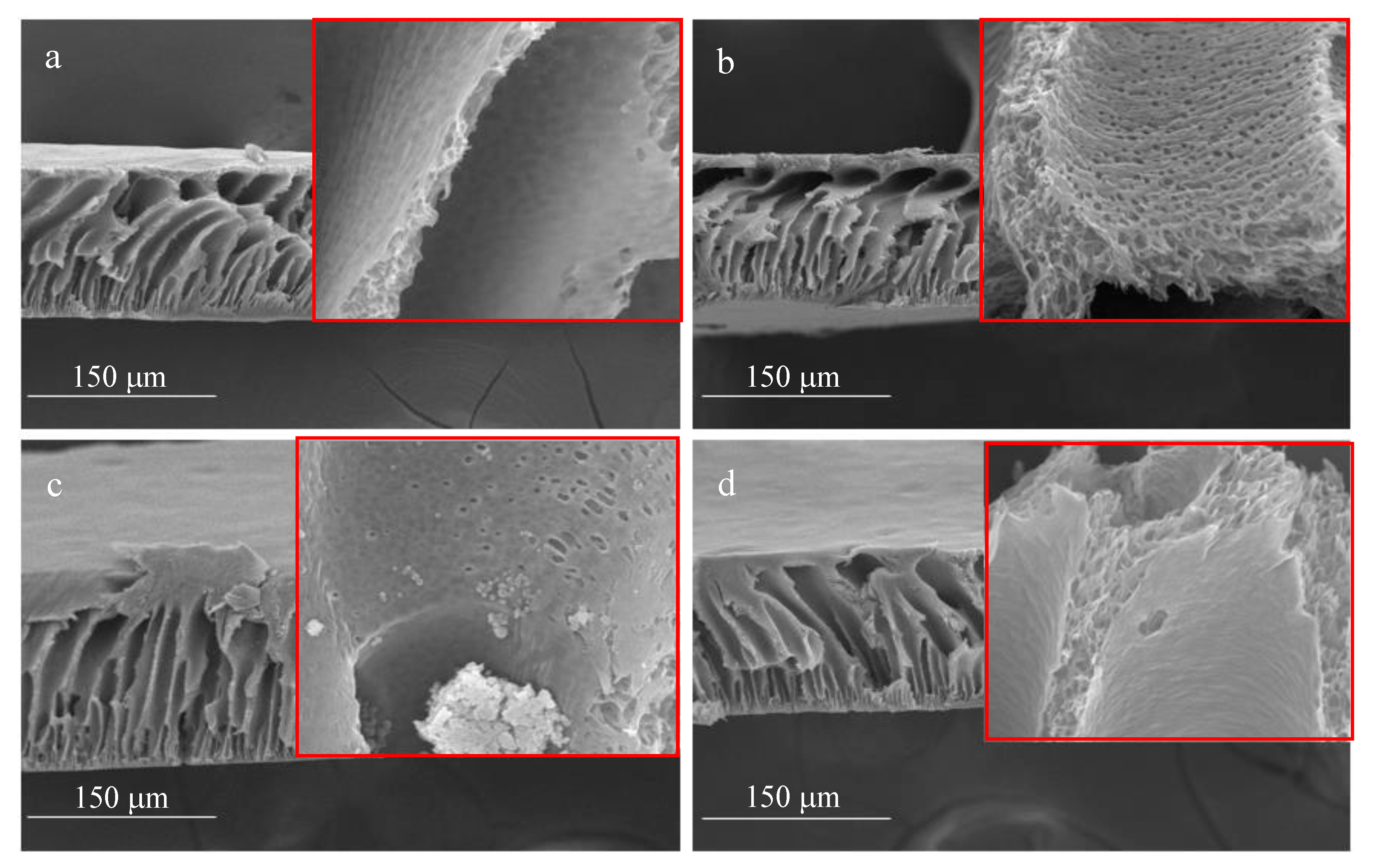 Membranes 13 00906 g013