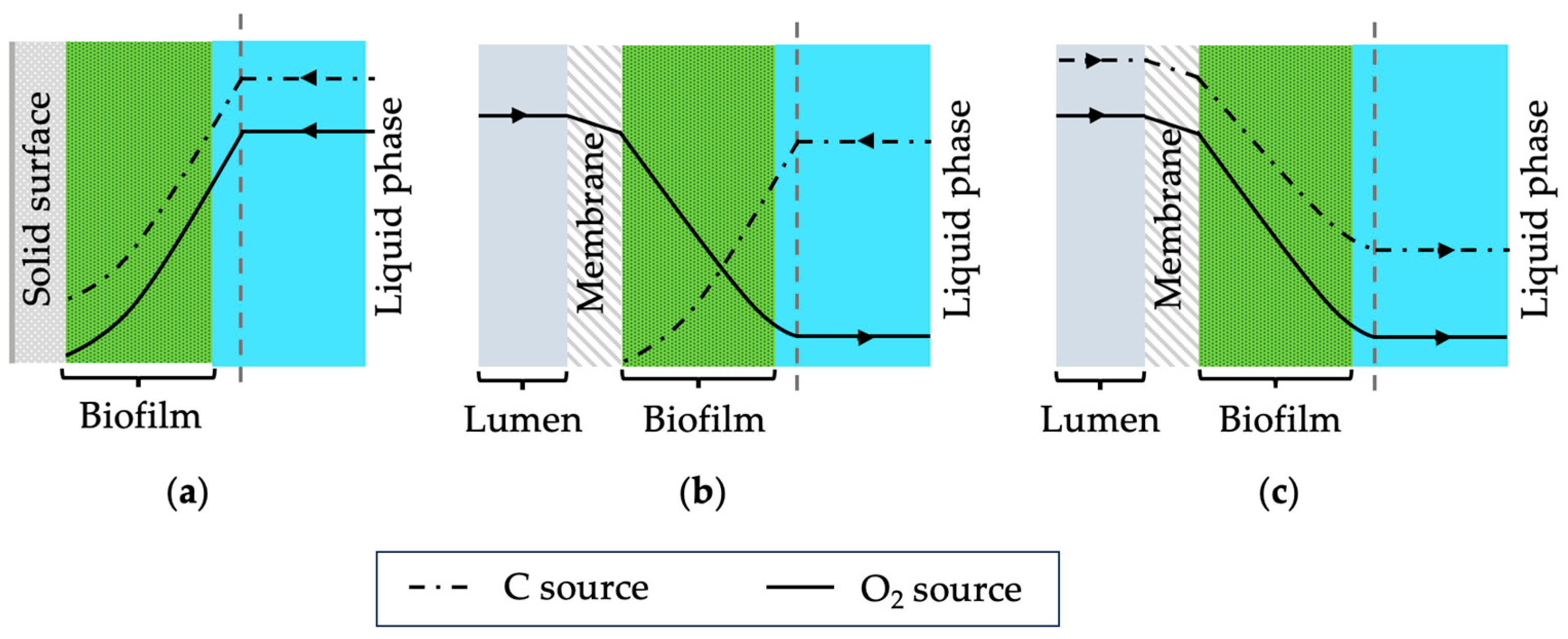 Membranes 13 00908 g001
