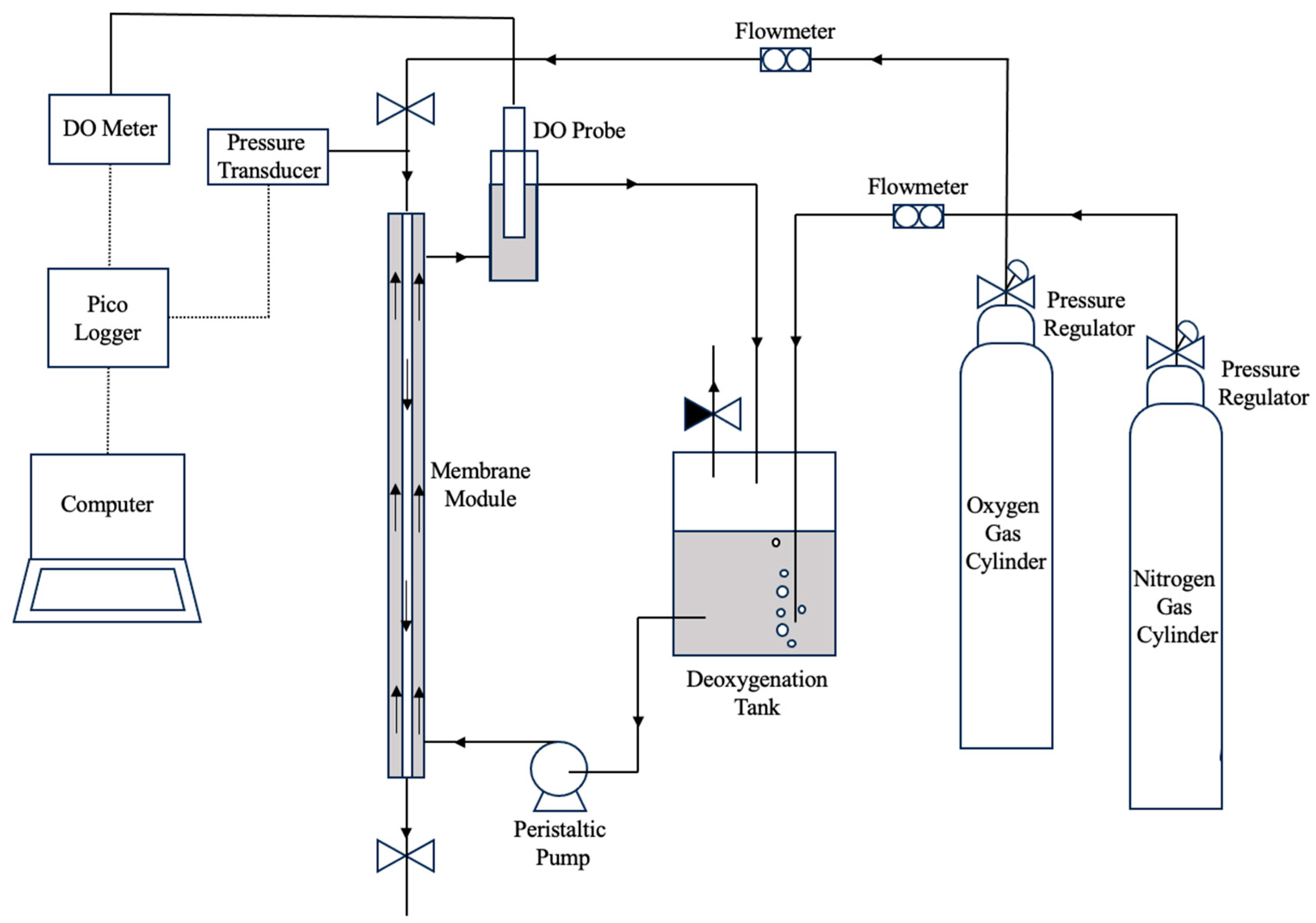 Membranes 13 00908 g003