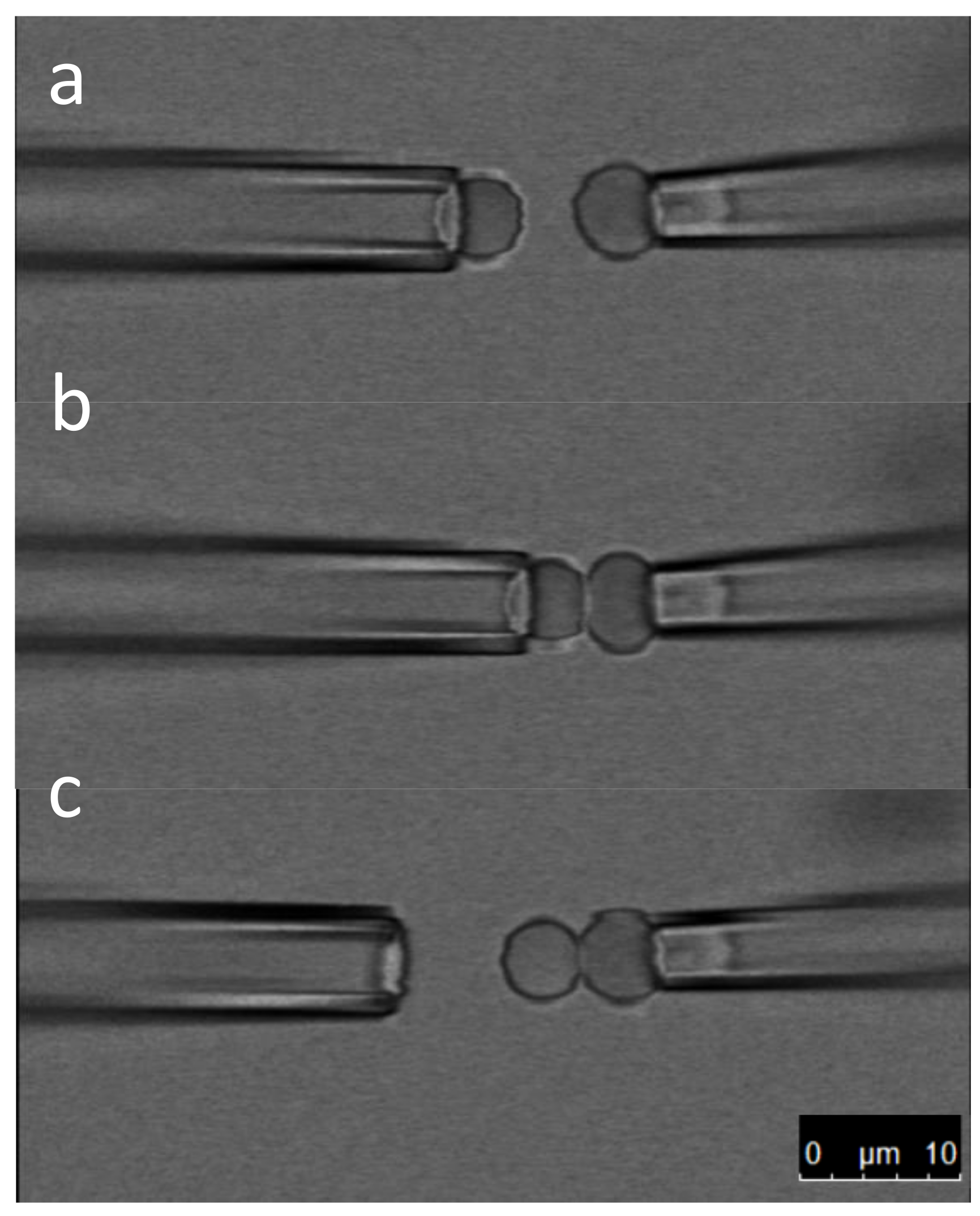 Membranes 13 00910 g001 Membranes 13 00910 g001