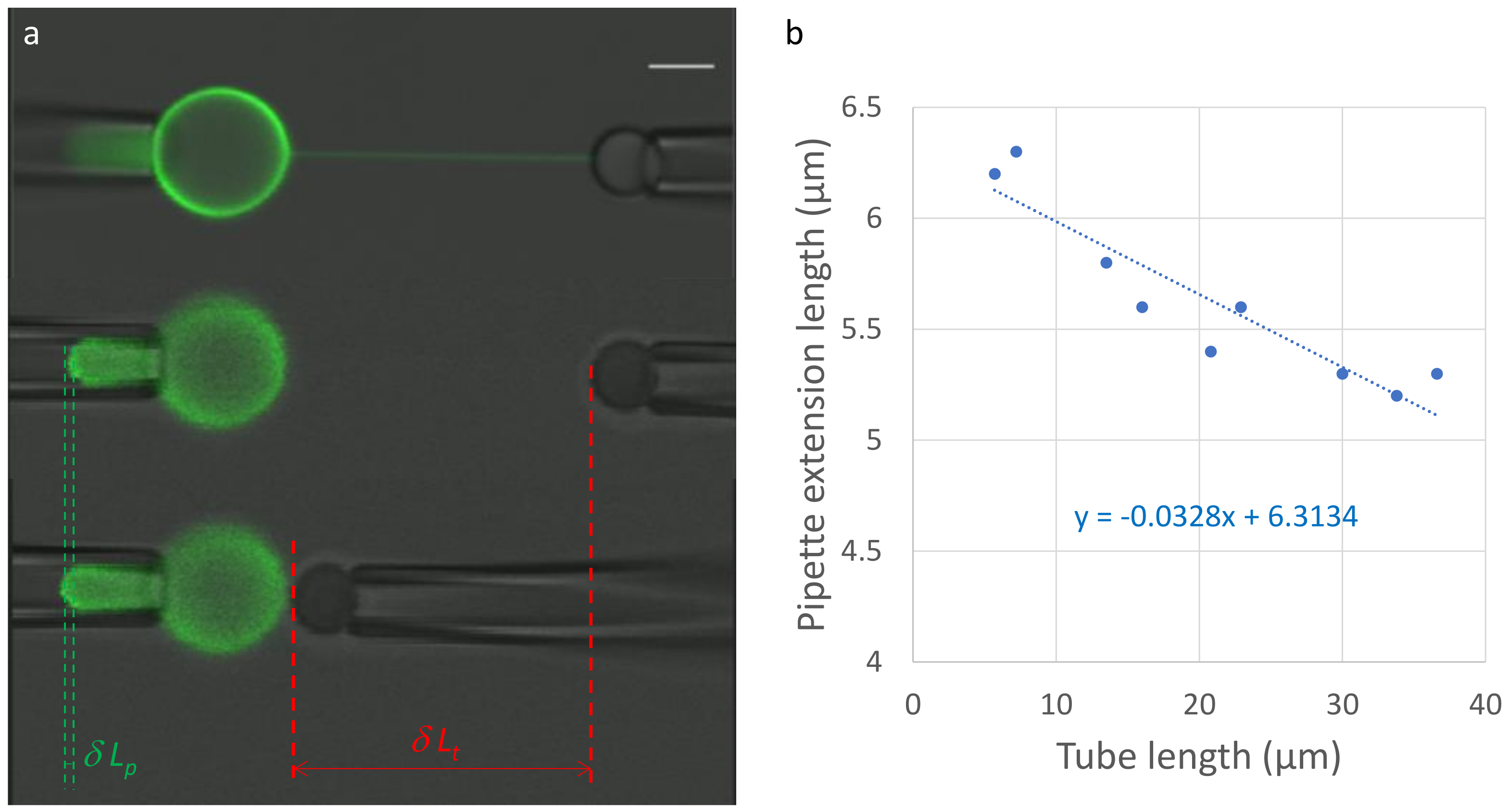 Membranes 13 00910 g002 Membranes 13 00910 g002