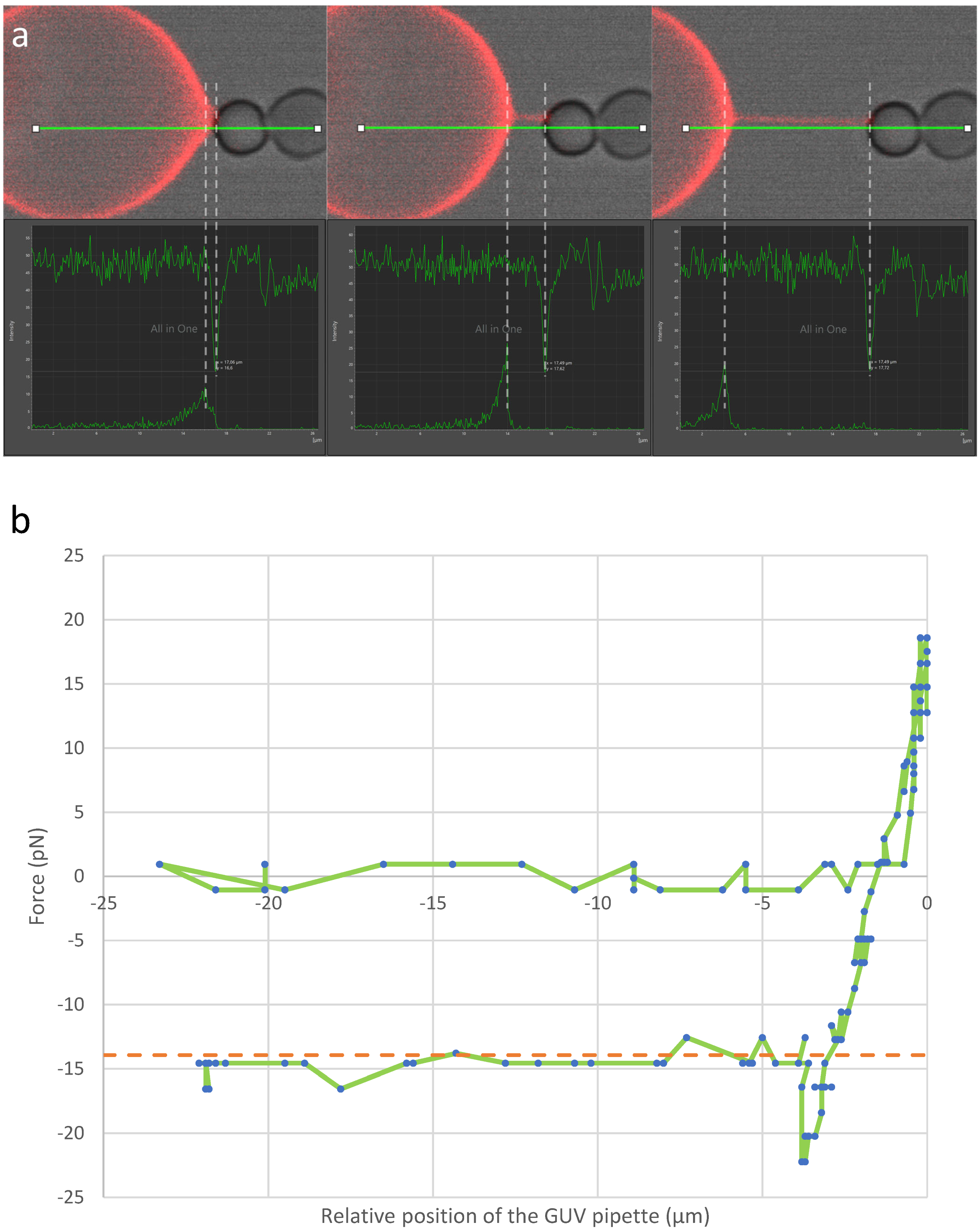 Membranes 13 00910 g004 Membranes 13 00910 g004