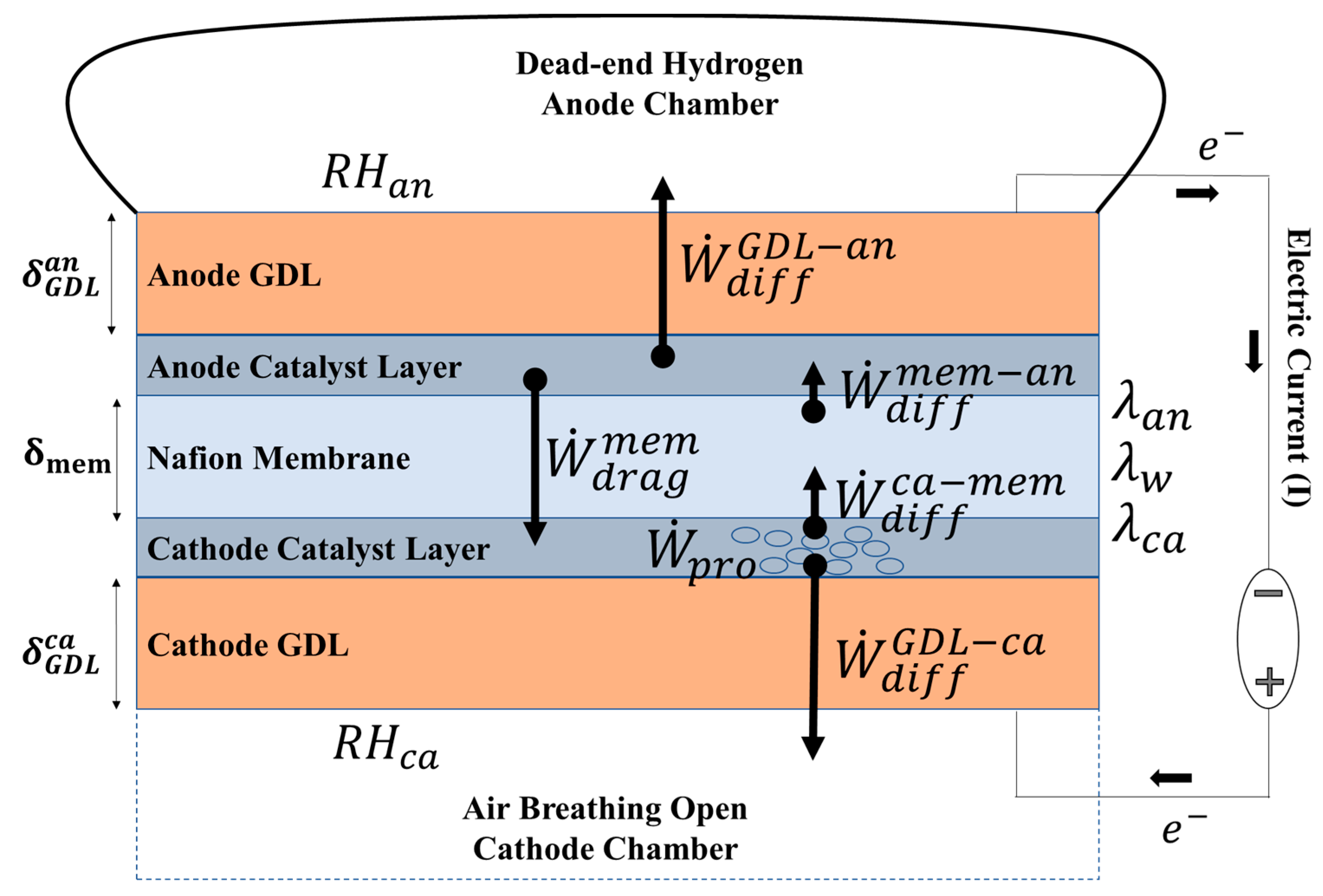 Membranes 14 00004 g001