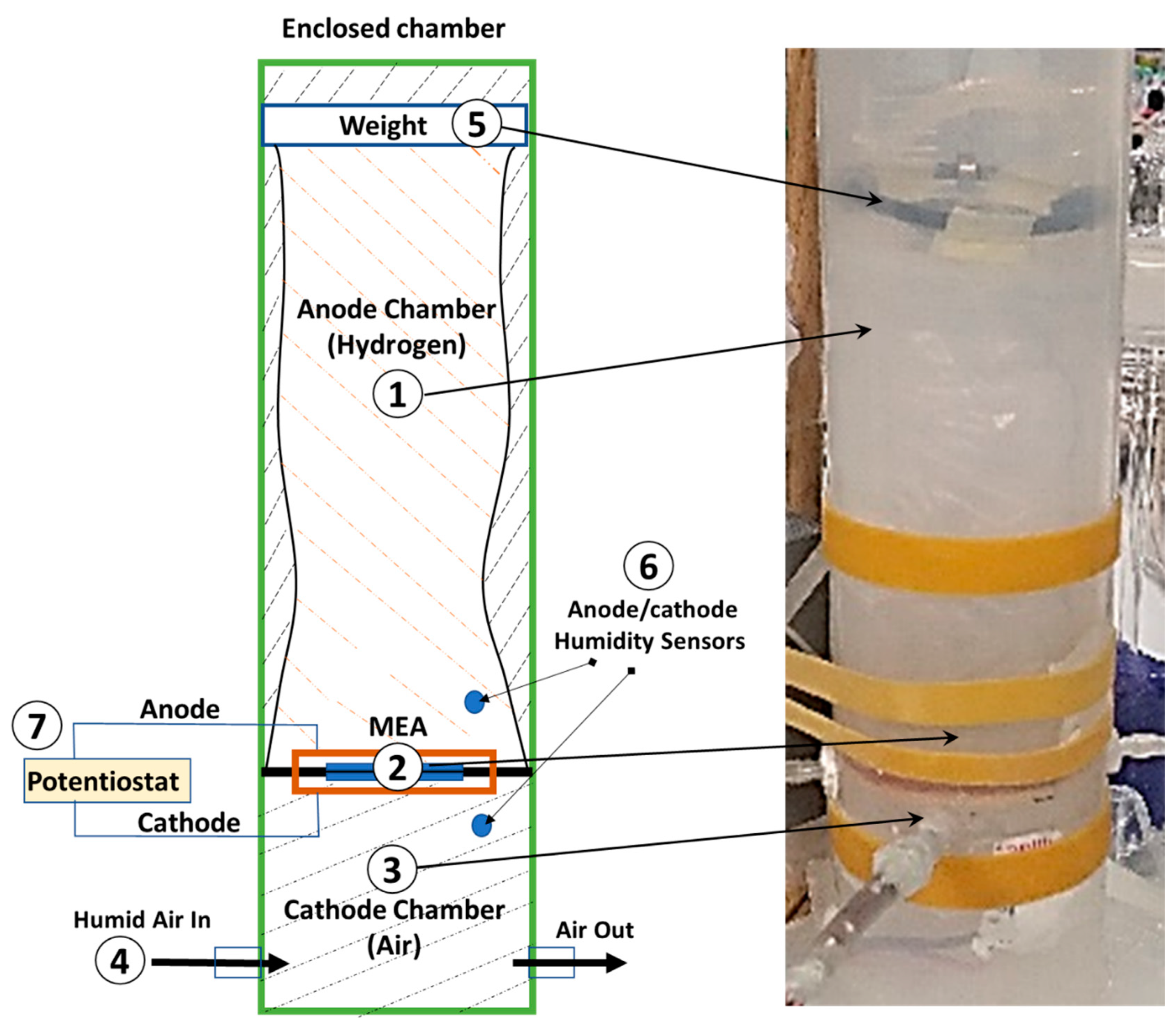 Membranes 14 00004 g002