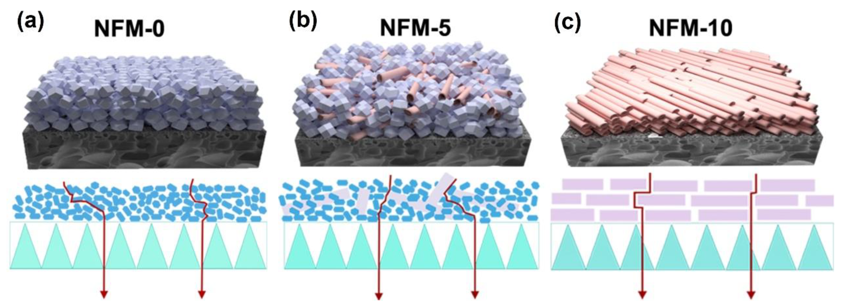 Membranes 14 00007 g008