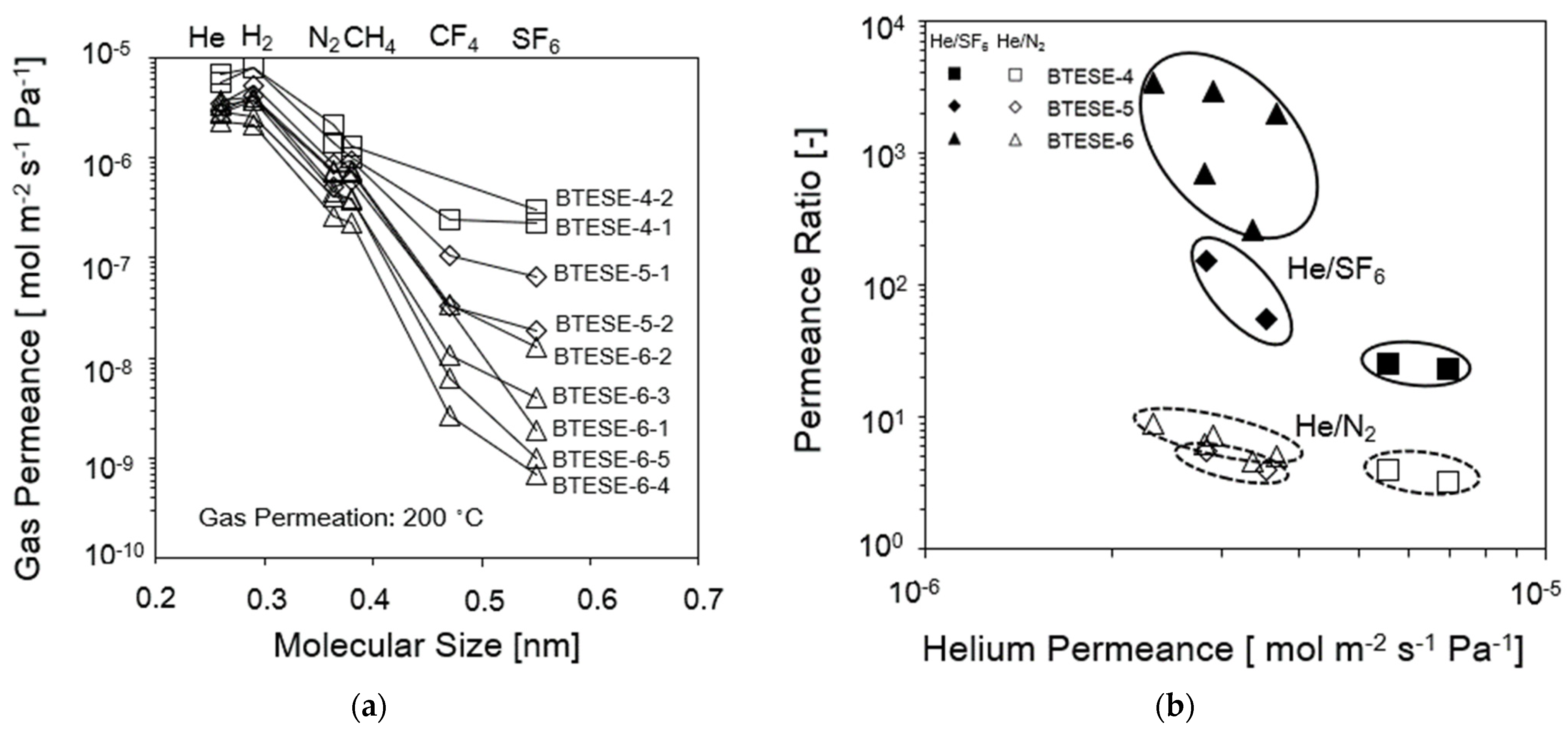 Membranes 14 00008 g002
