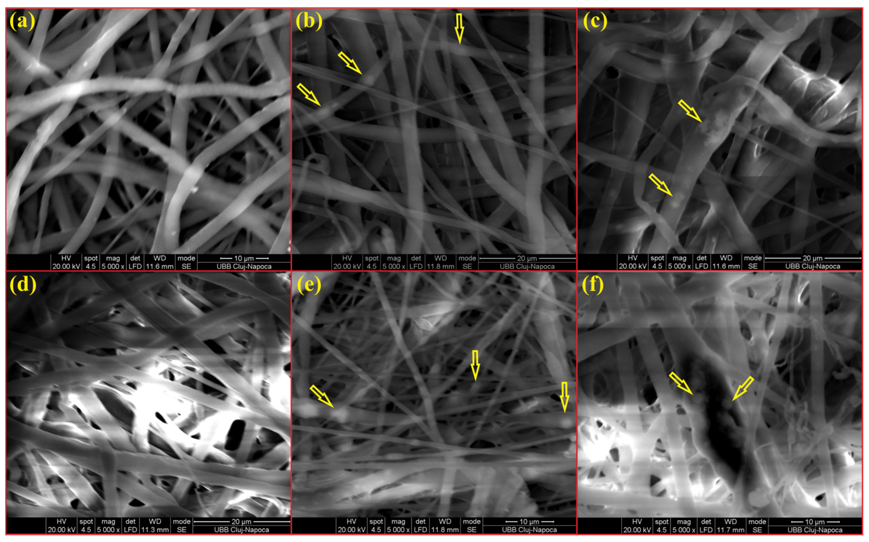 Membranes 14 00010 g001