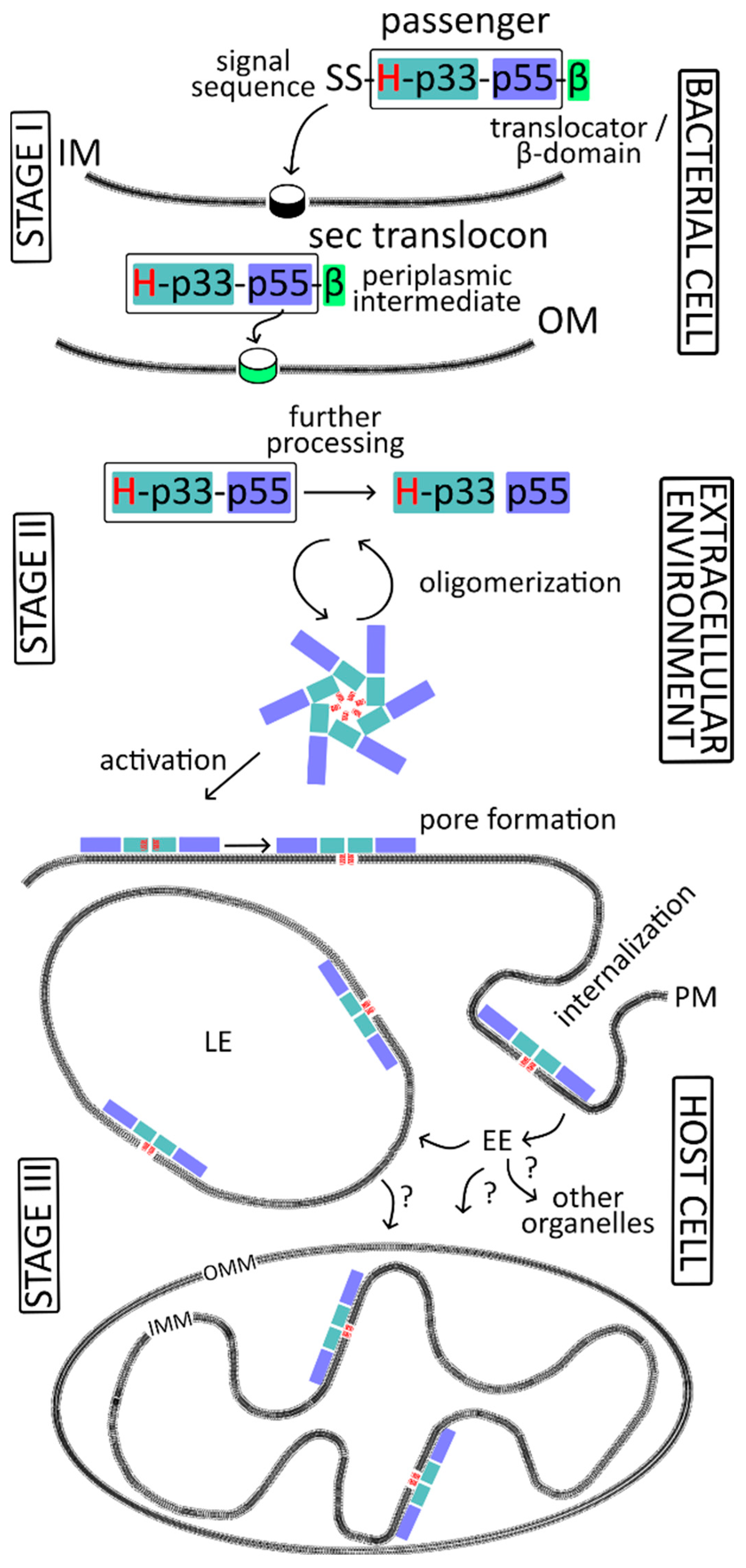 Membranes 14 00011 g001 Membranes 14 00011 g001