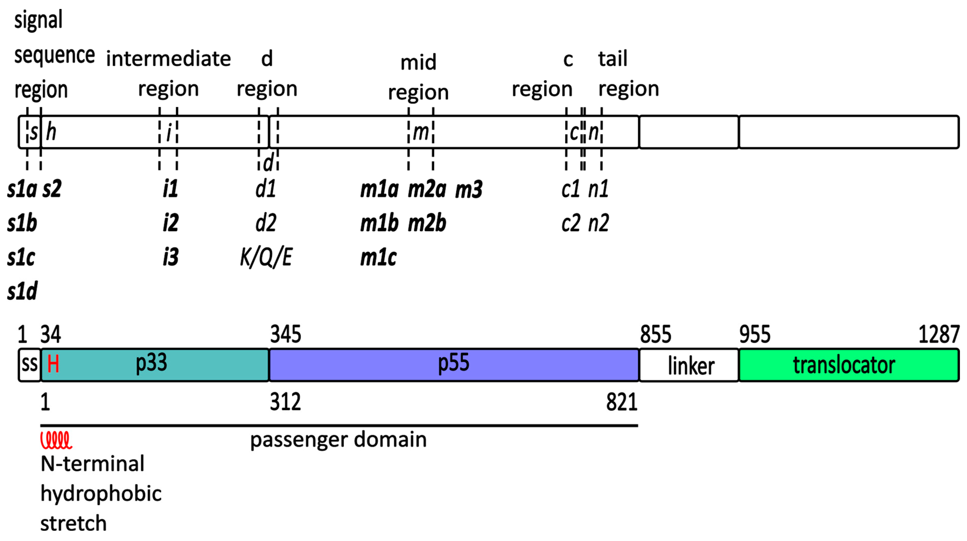 Membranes 14 00011 g002 Membranes 14 00011 g002