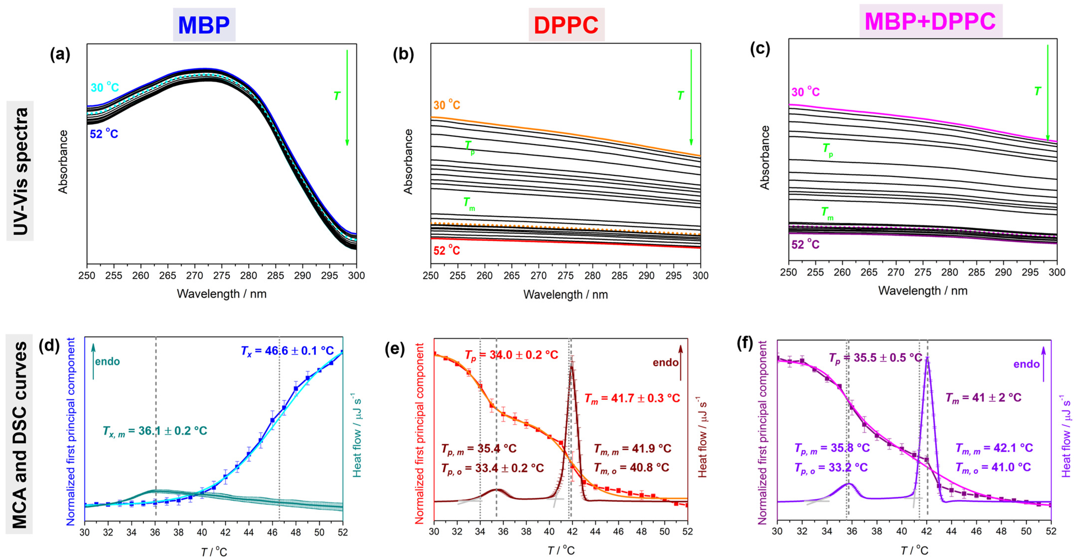 Membranes 14 00015 g001 Membranes 14 00015 g001