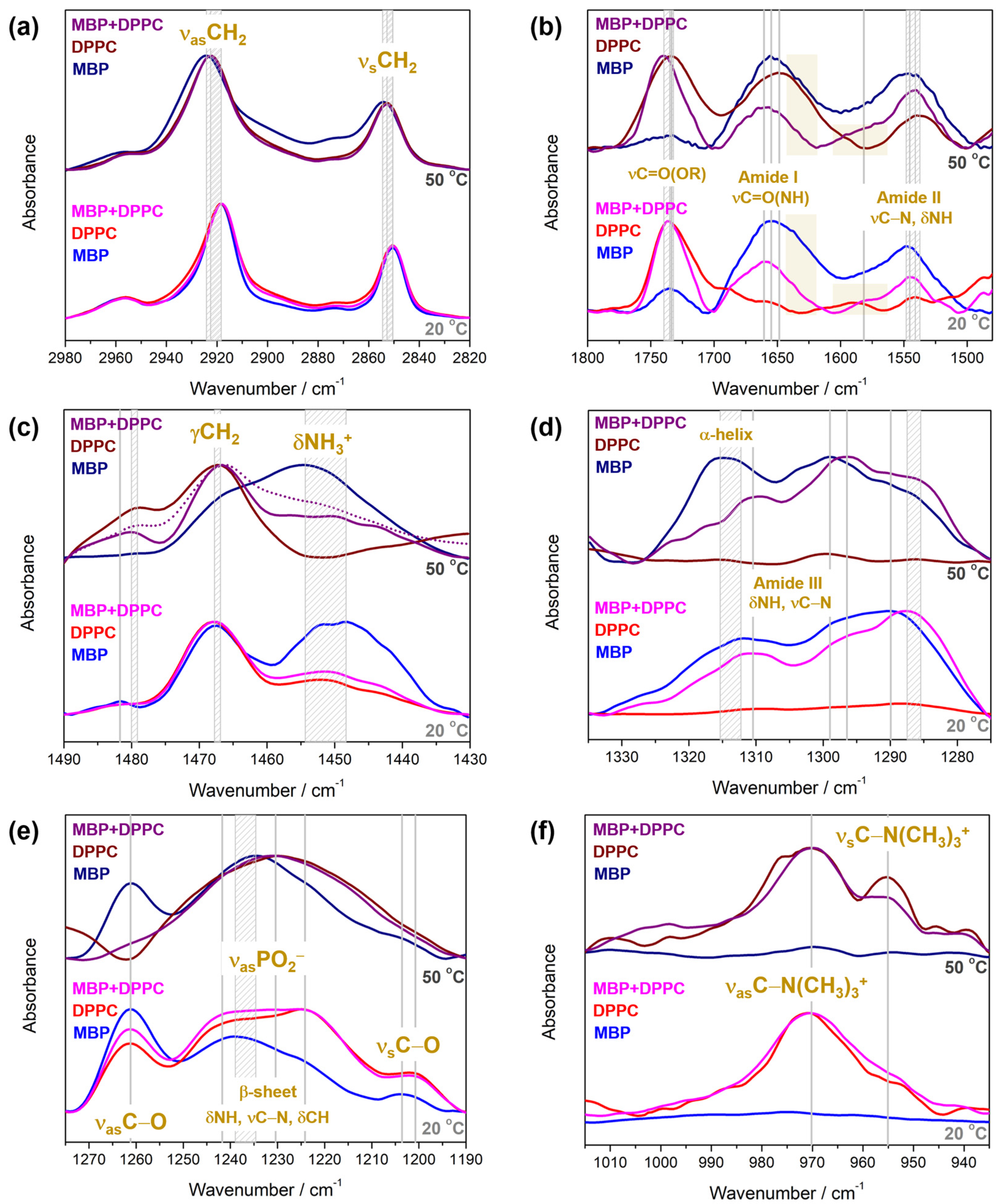 Membranes 14 00015 g003 Membranes 14 00015 g003