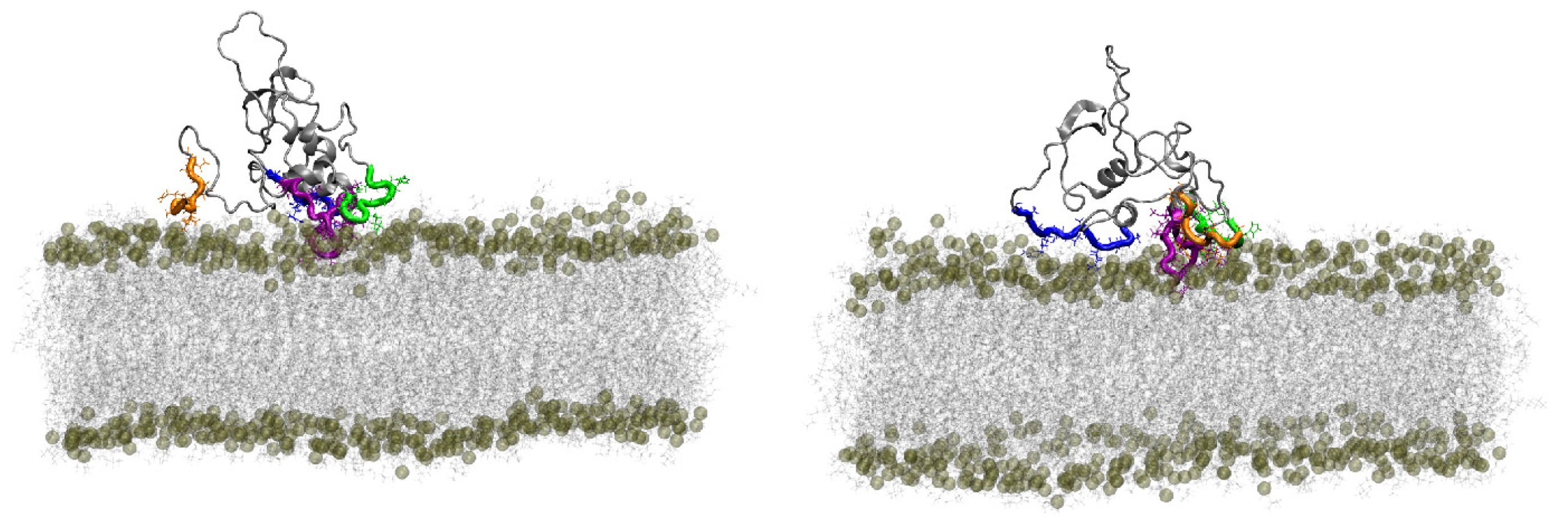 Membranes 14 00015 g006 Membranes 14 00015 g006