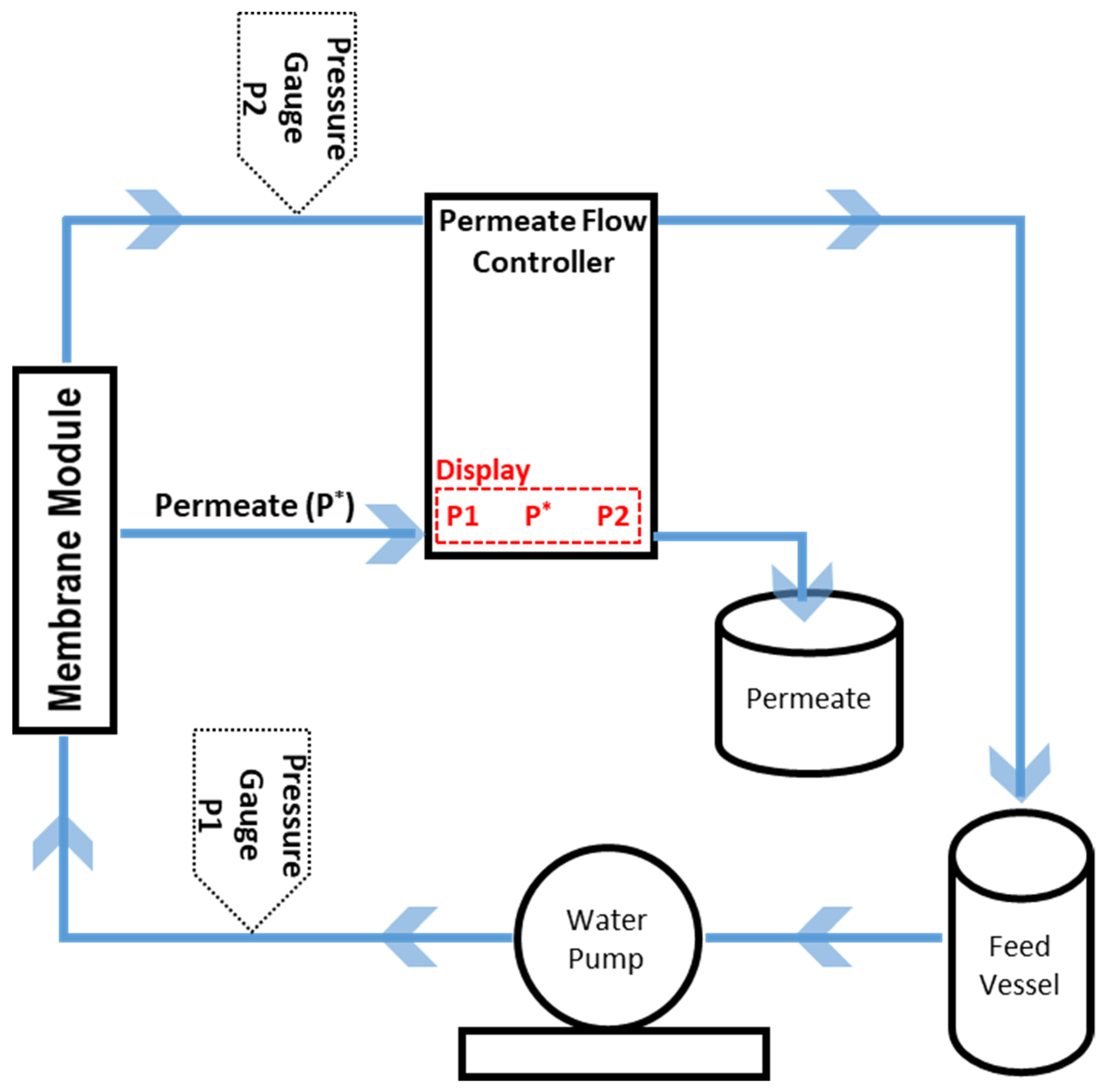 Membranes 14 00022 g002