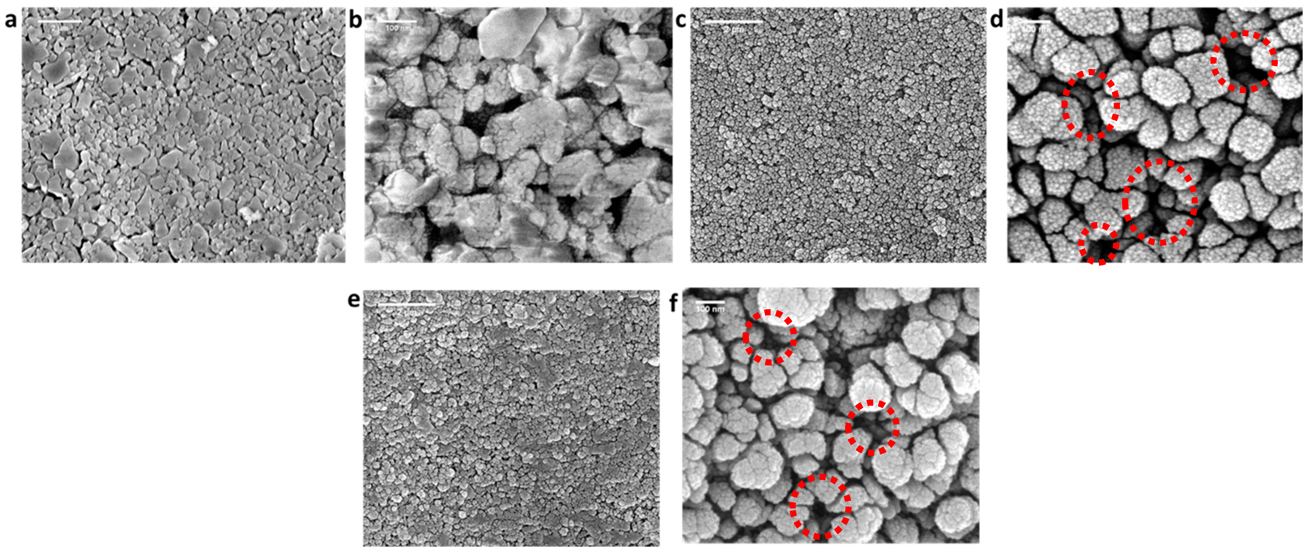 Membranes 14 00022 g003
