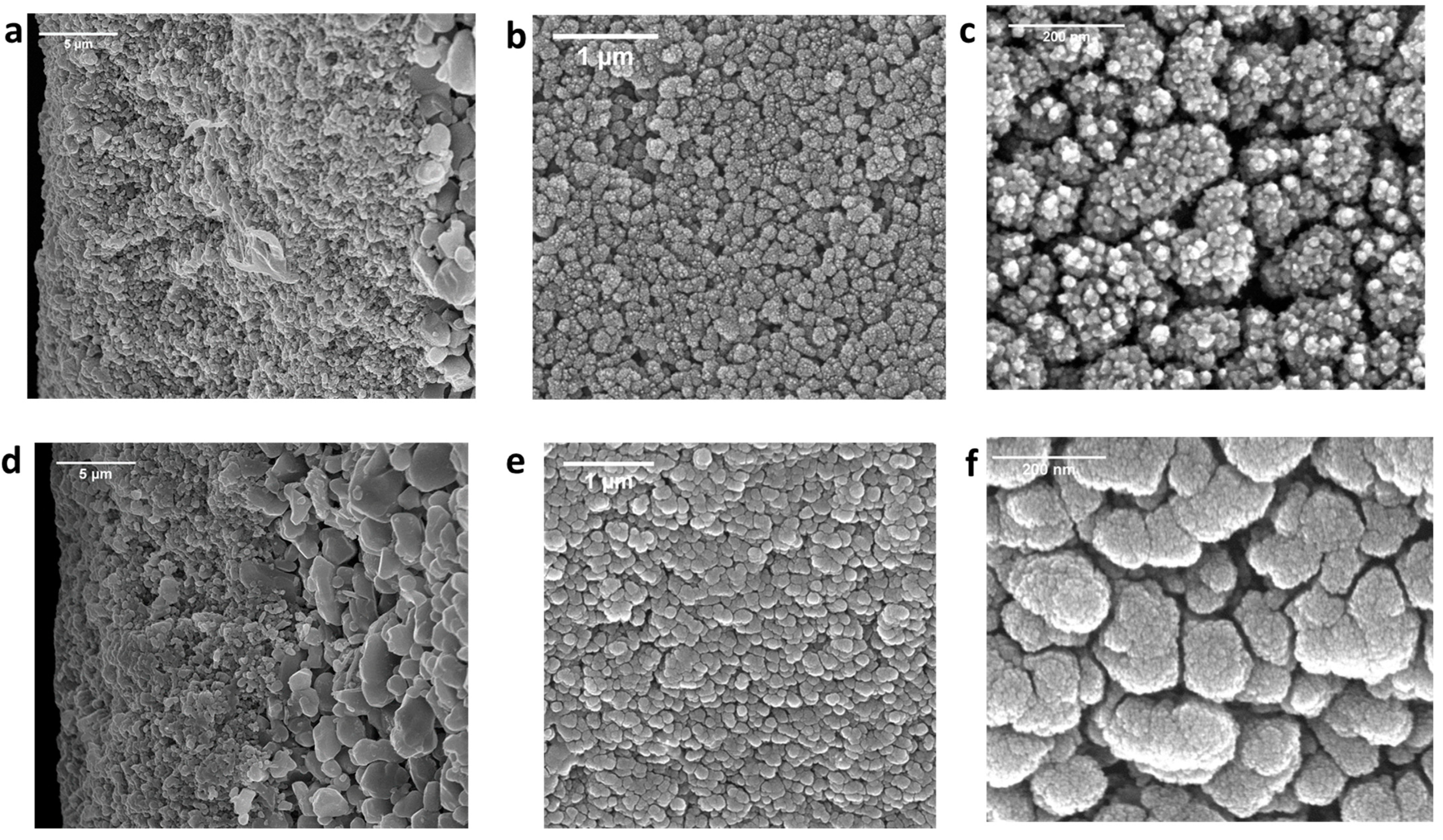 Membranes 14 00022 g008