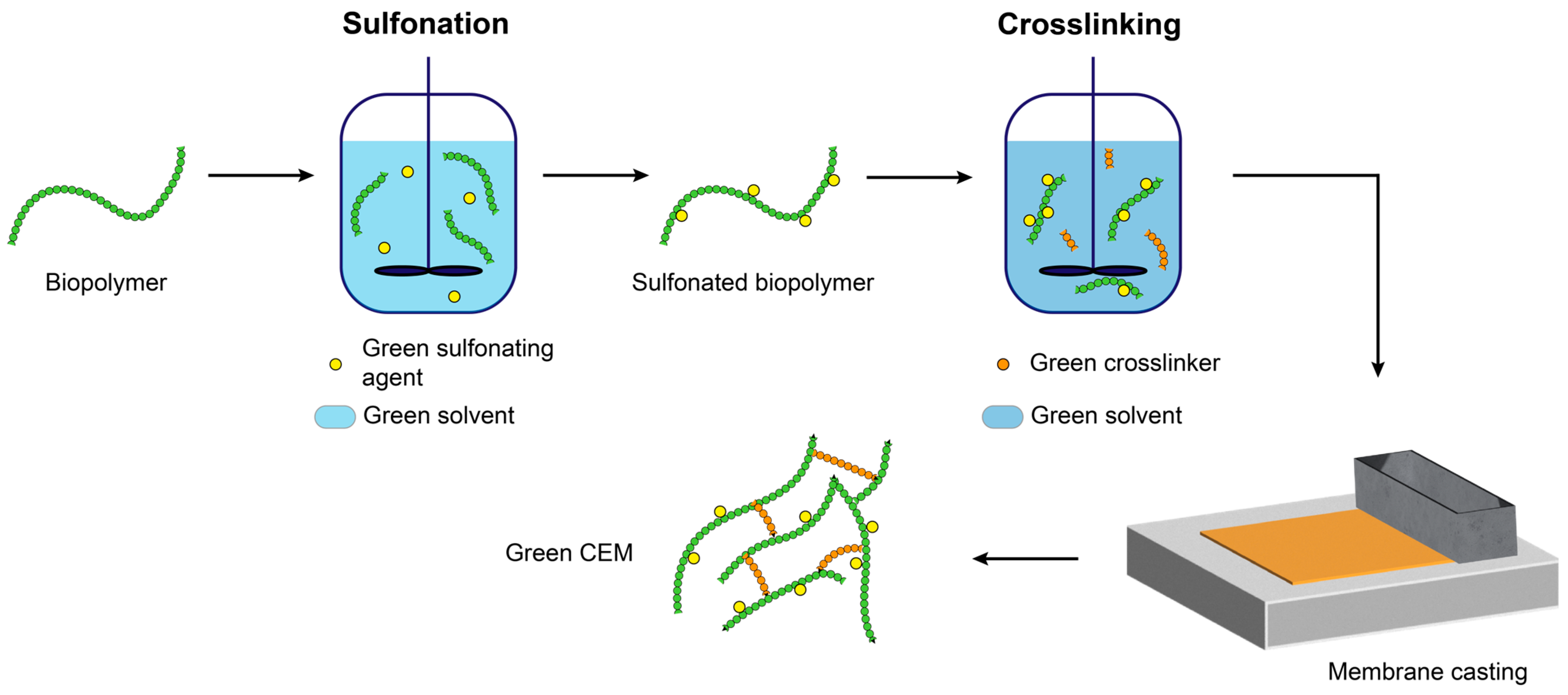 Membranes 14 00023 g001