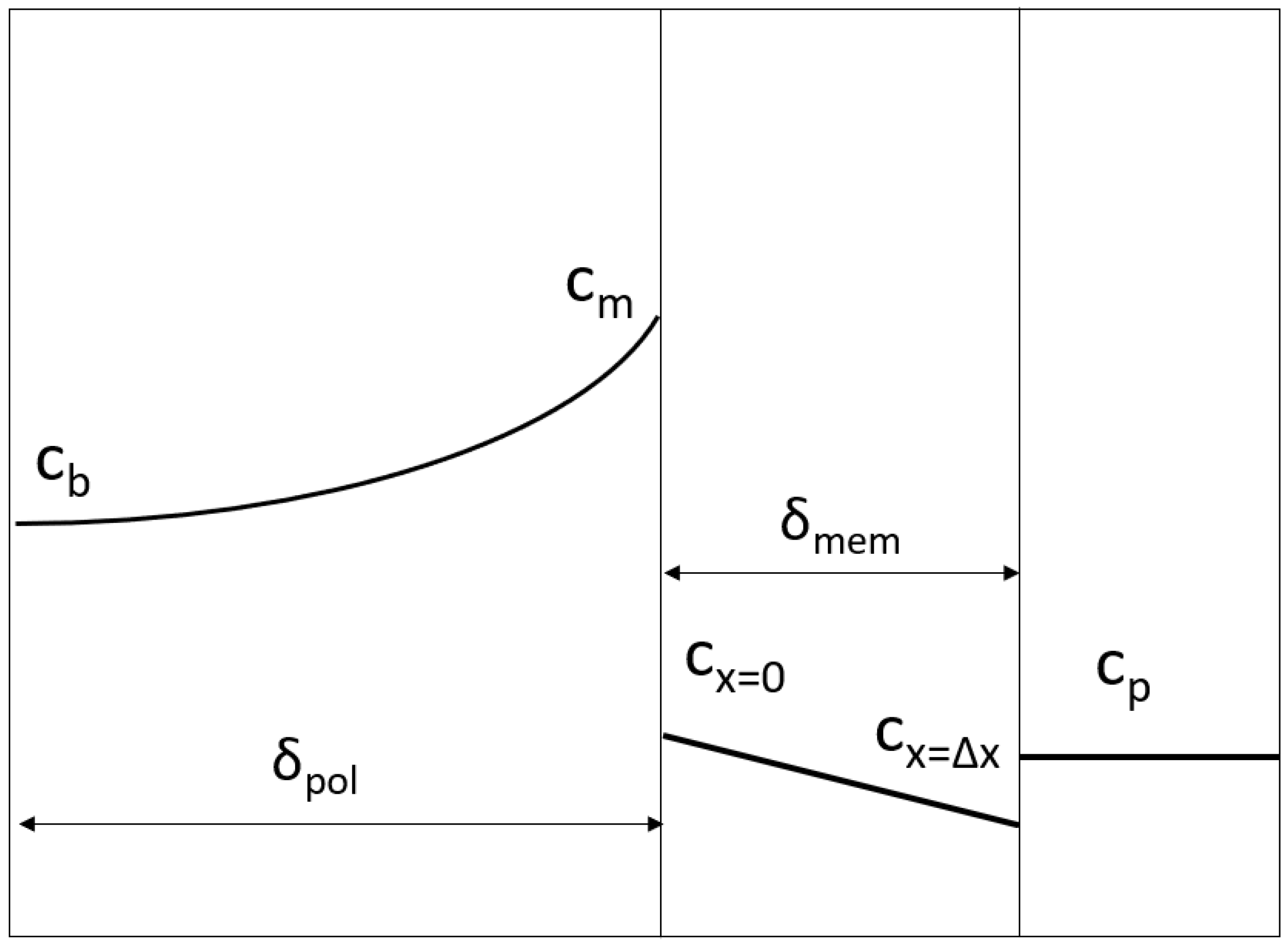 Membranes 14 00026 g001