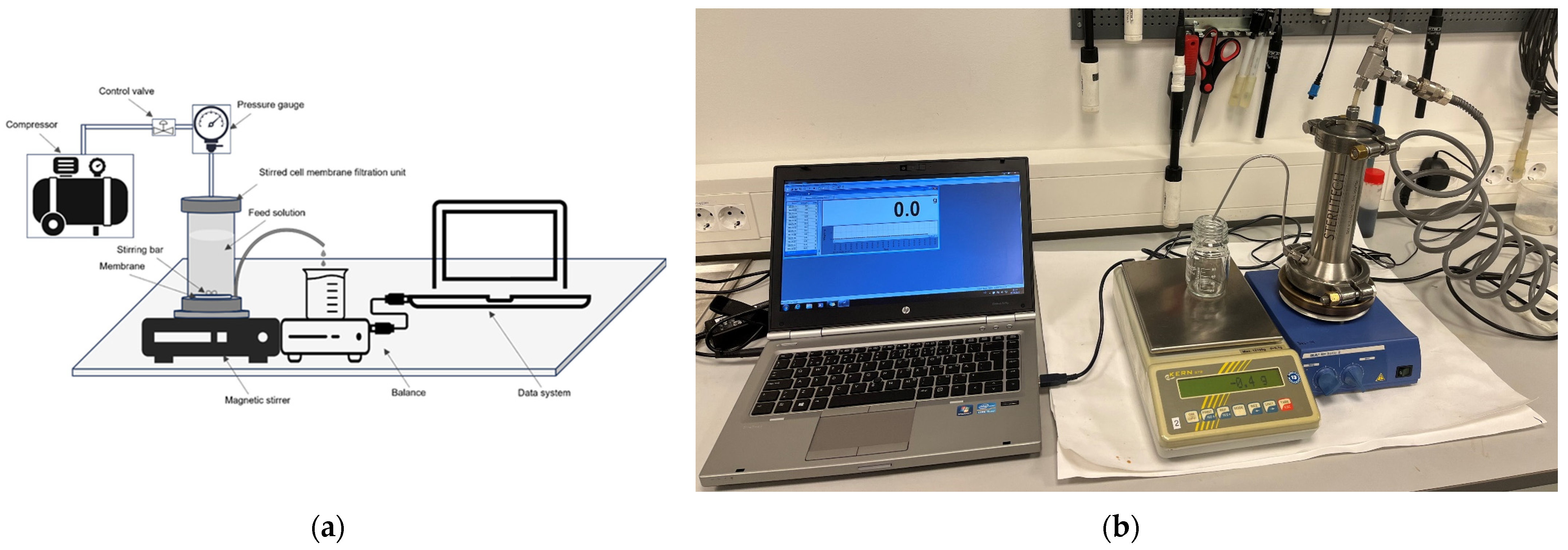 Membranes 14 00028 g001