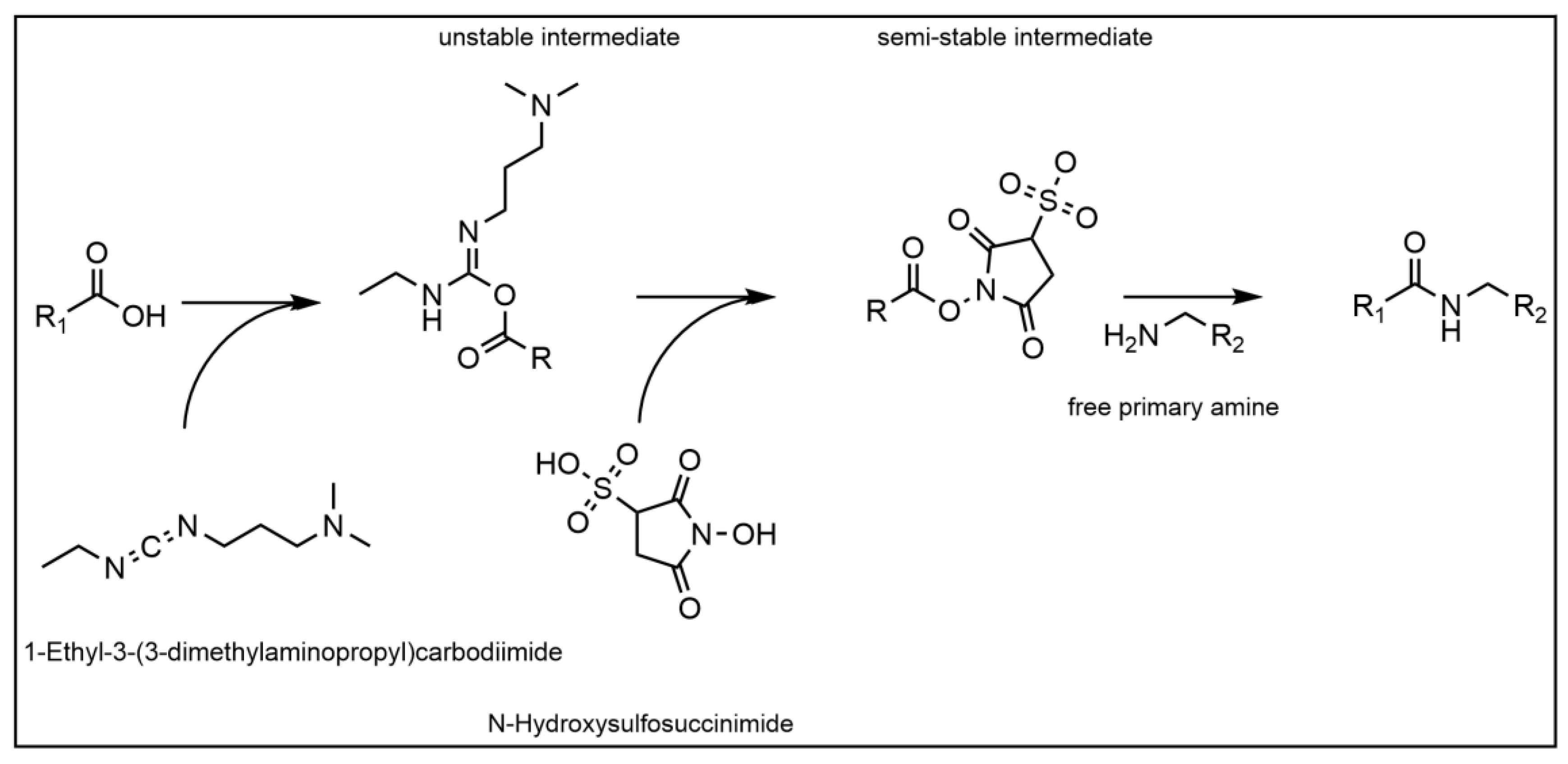 Membranes 14 00031 g002