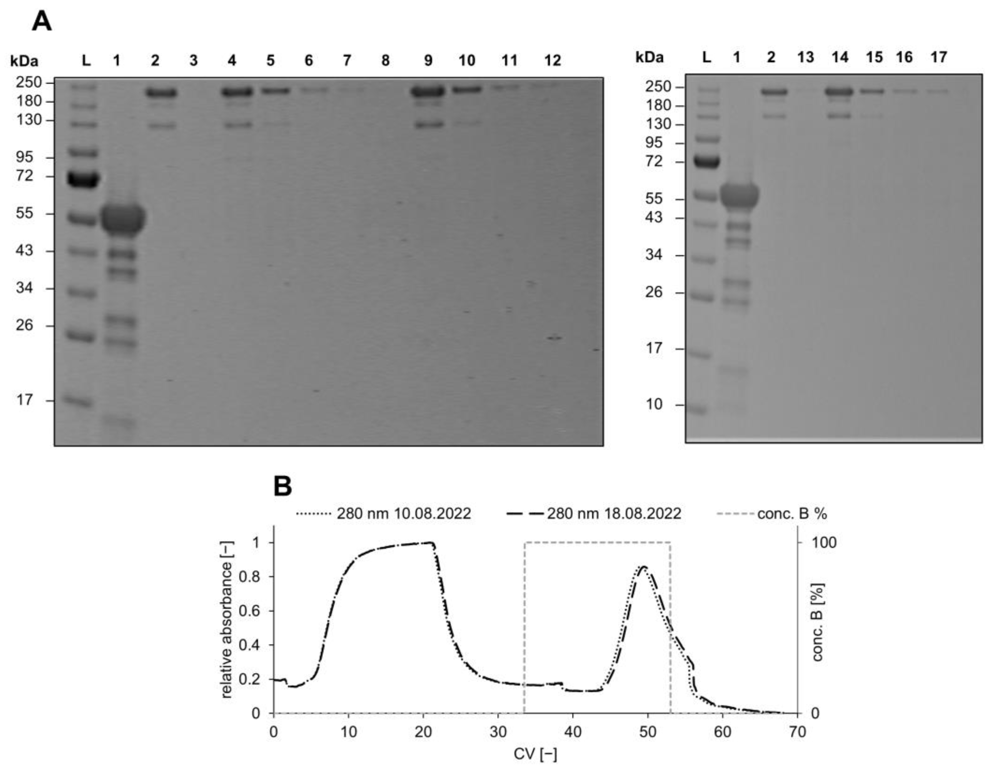 Membranes 14 00031 g007