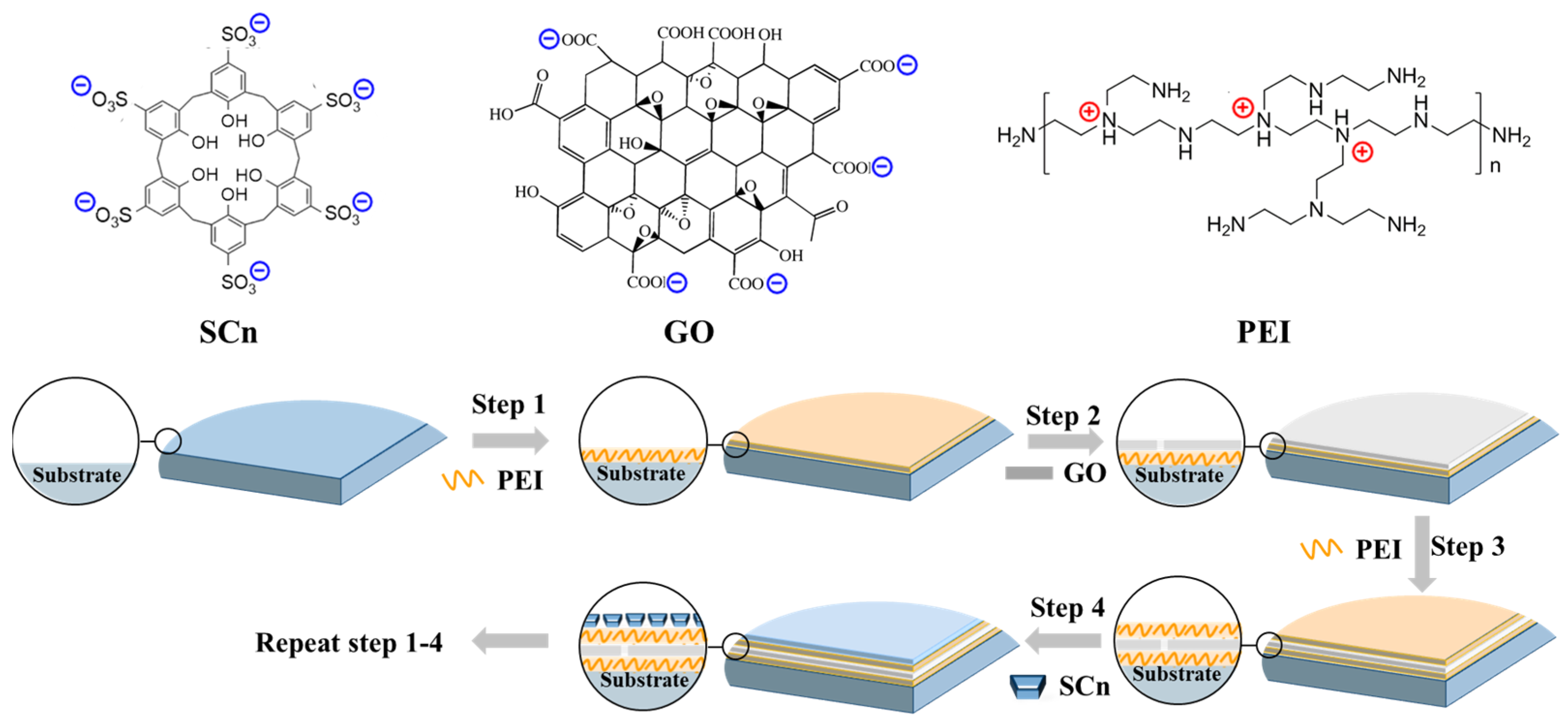 Membranes 14 00032 g001