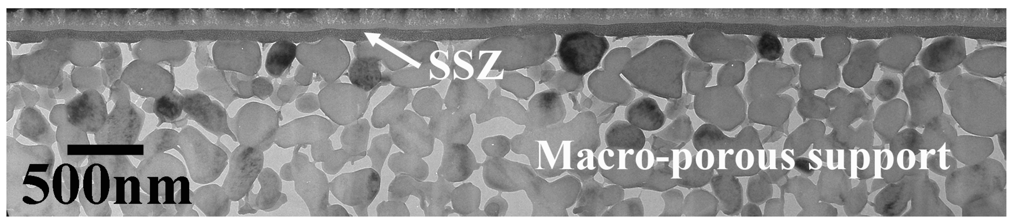 Membranes 14 00034 g001