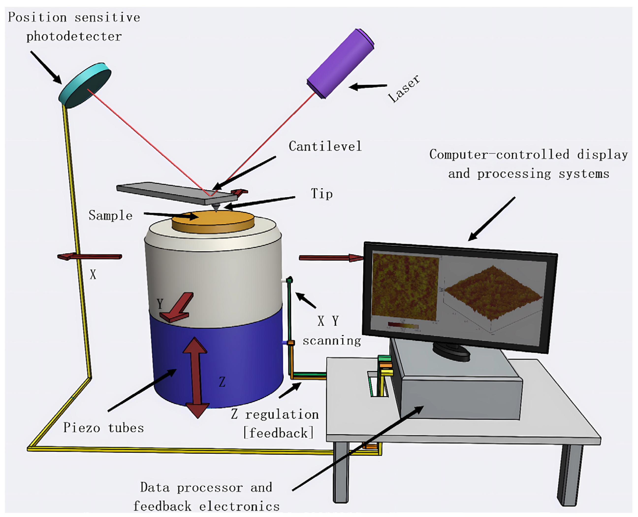 Membranes 14 00035 g003