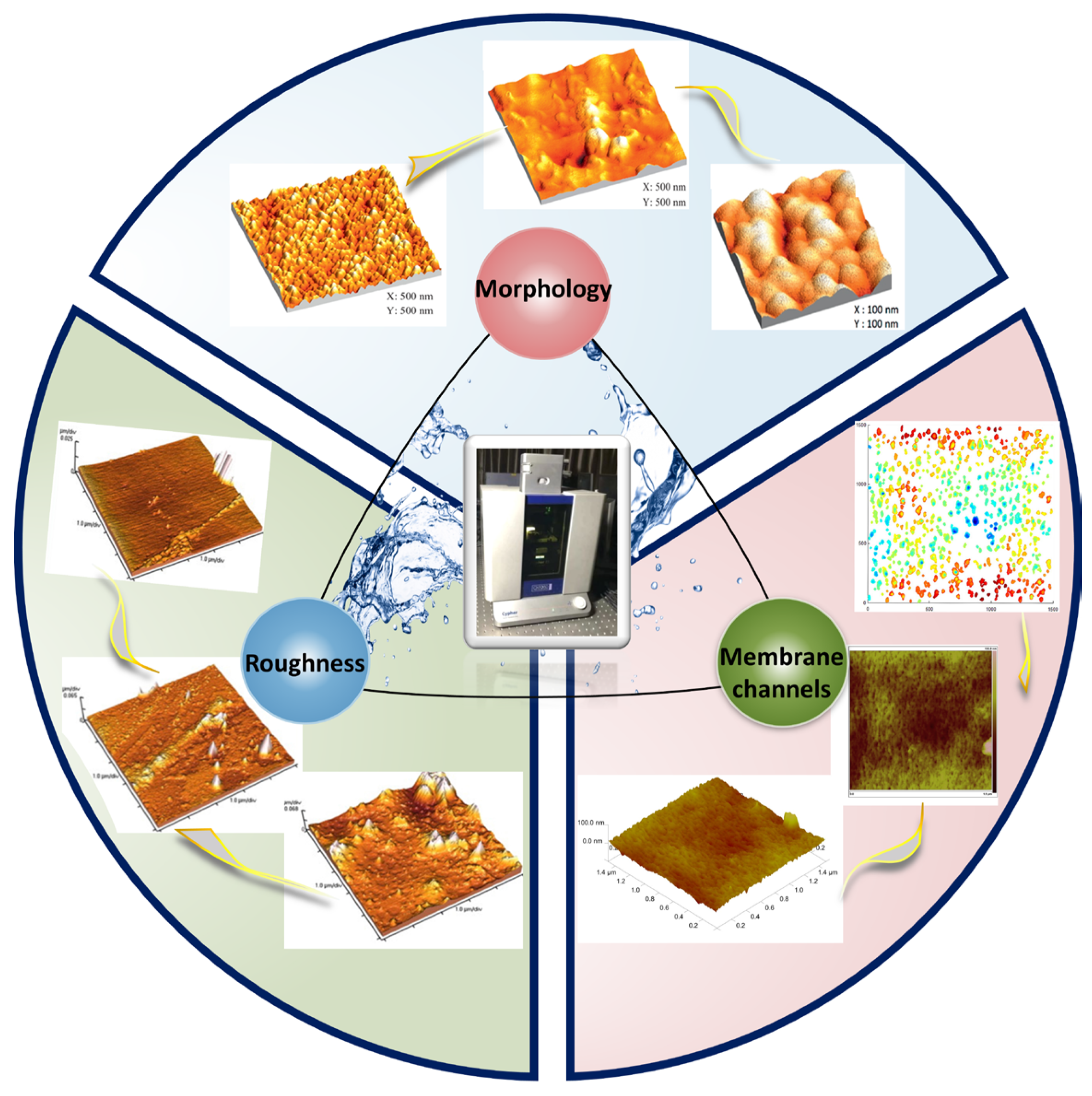 Membranes 14 00035 g004