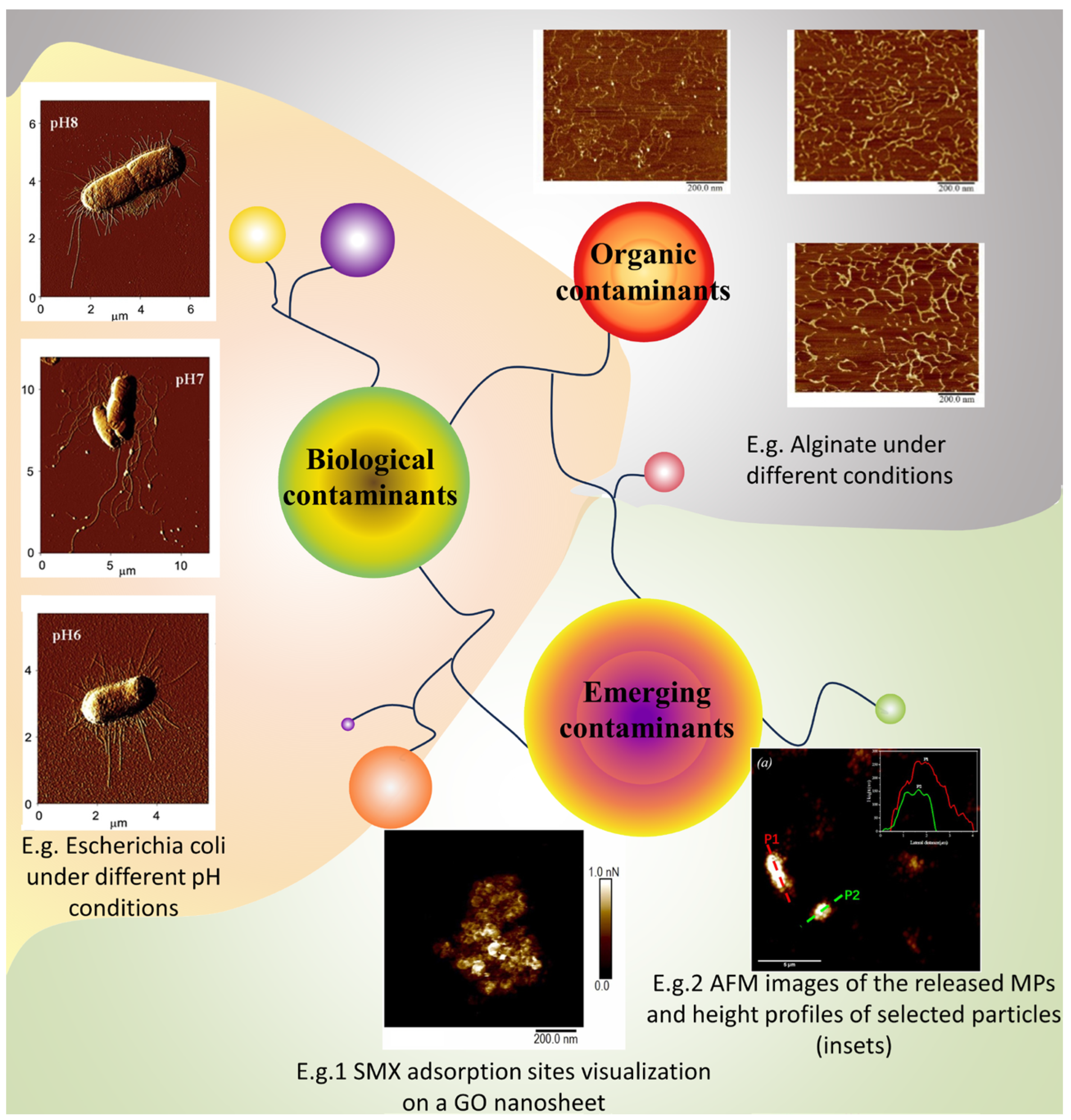 Membranes 14 00035 g006