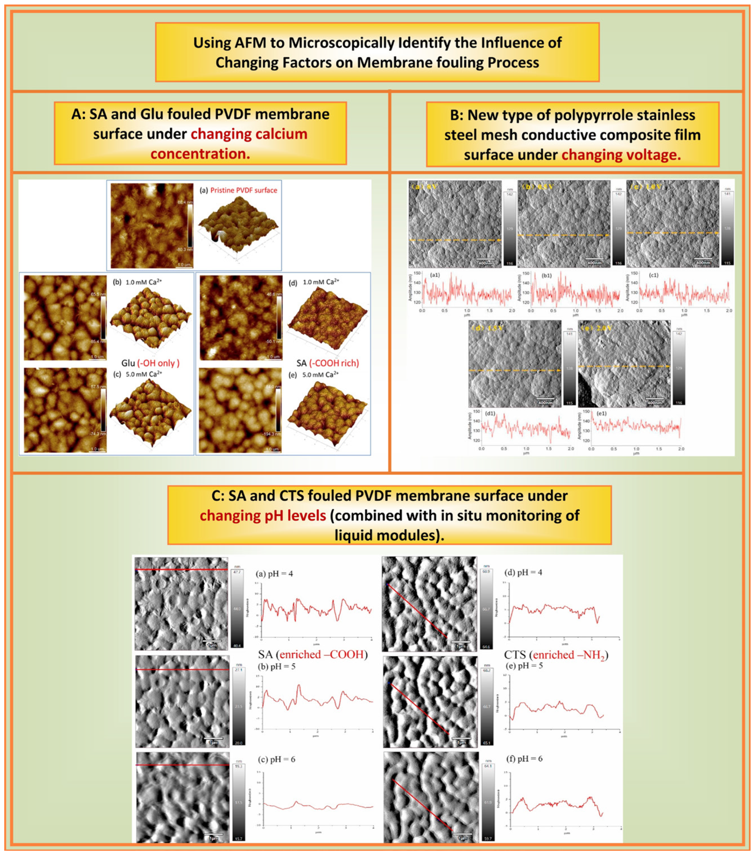 Membranes 14 00035 g007