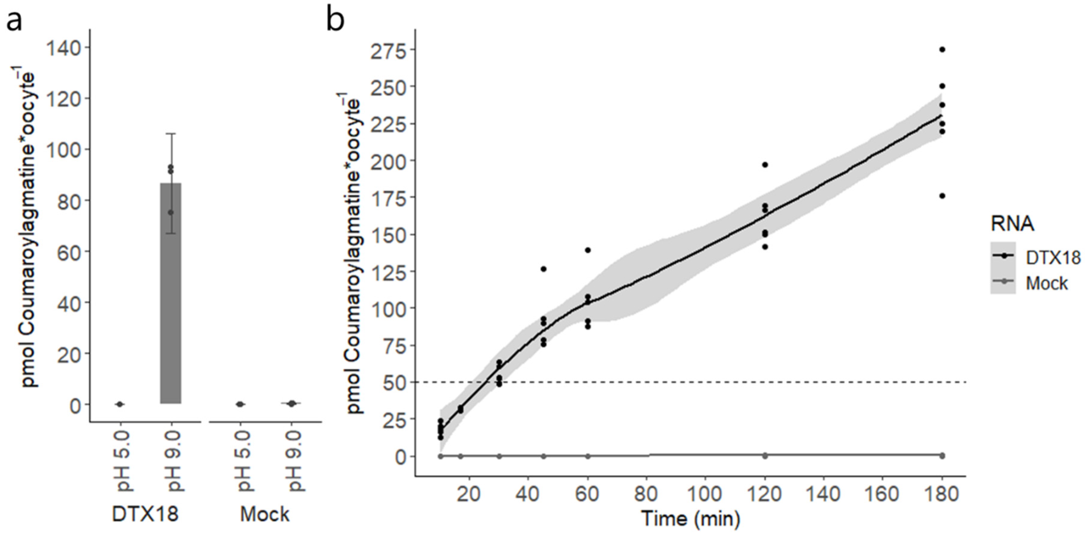 Membranes 14 00039 g002