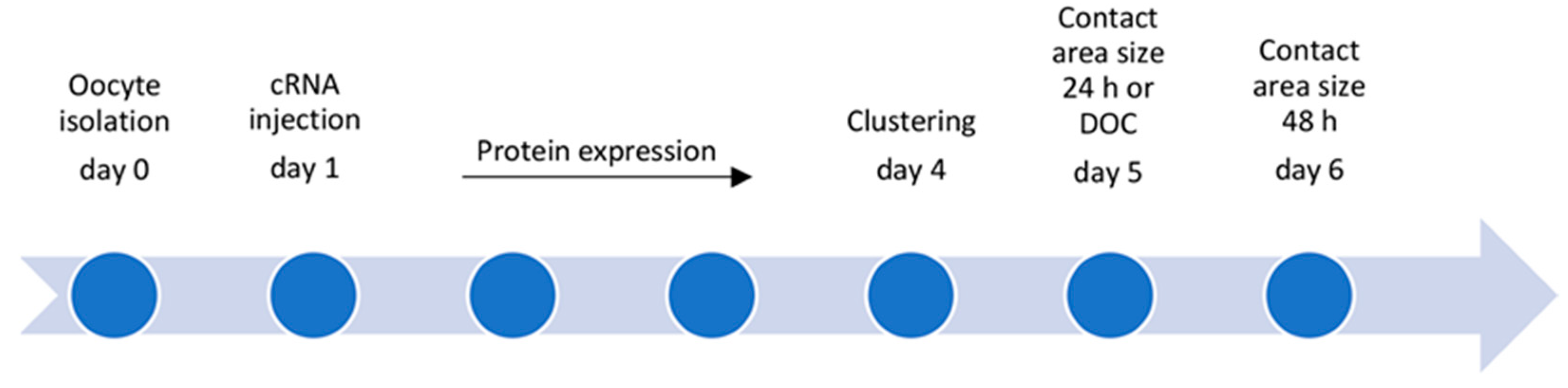 Membranes 14 00040 g001