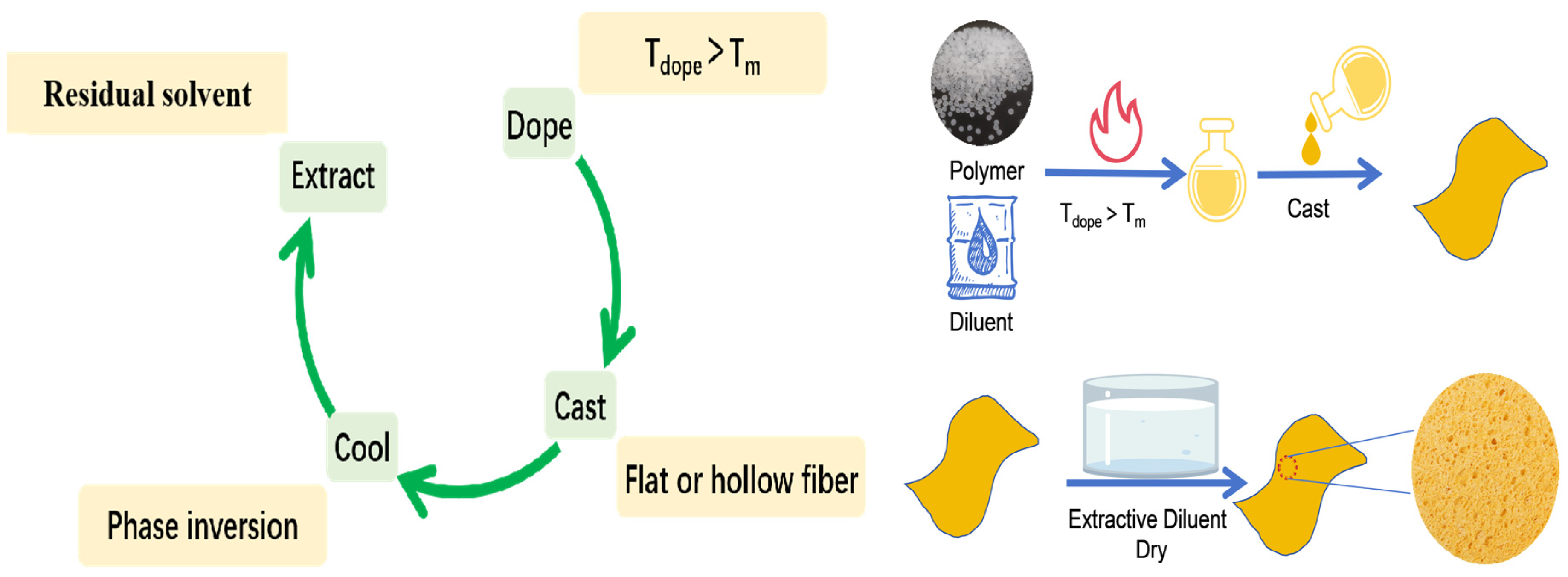 Membranes 14 00042 g003