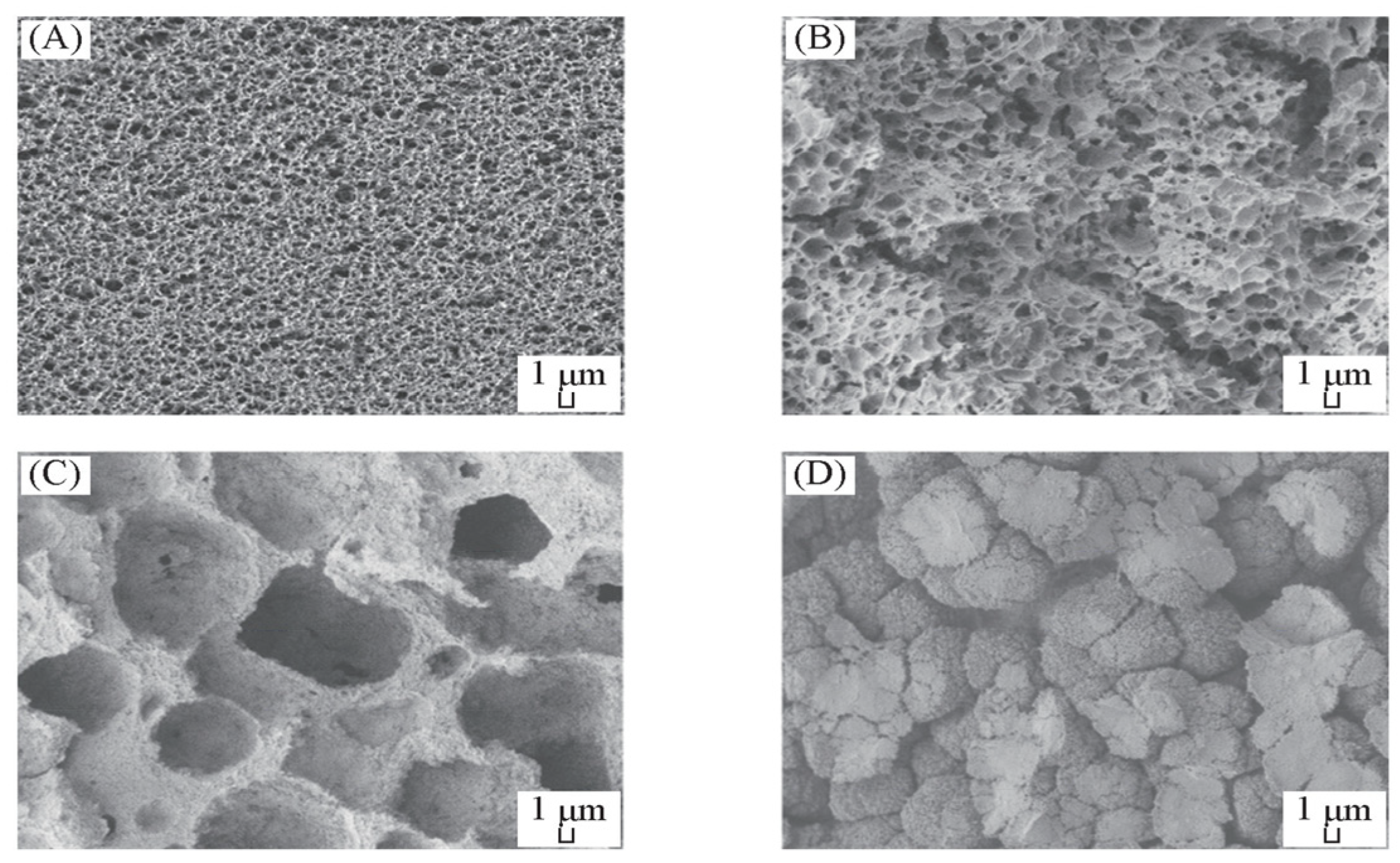 Membranes 14 00042 g004