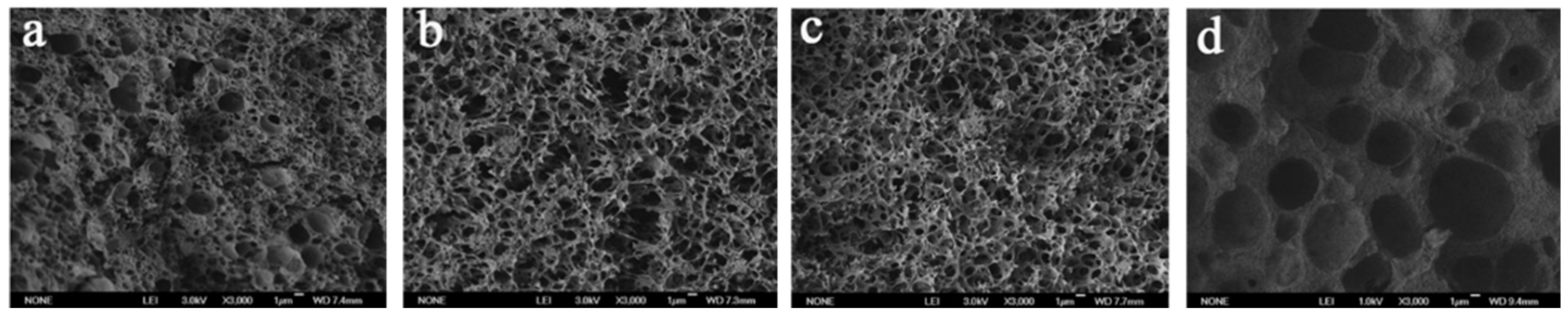 Membranes 14 00042 g005