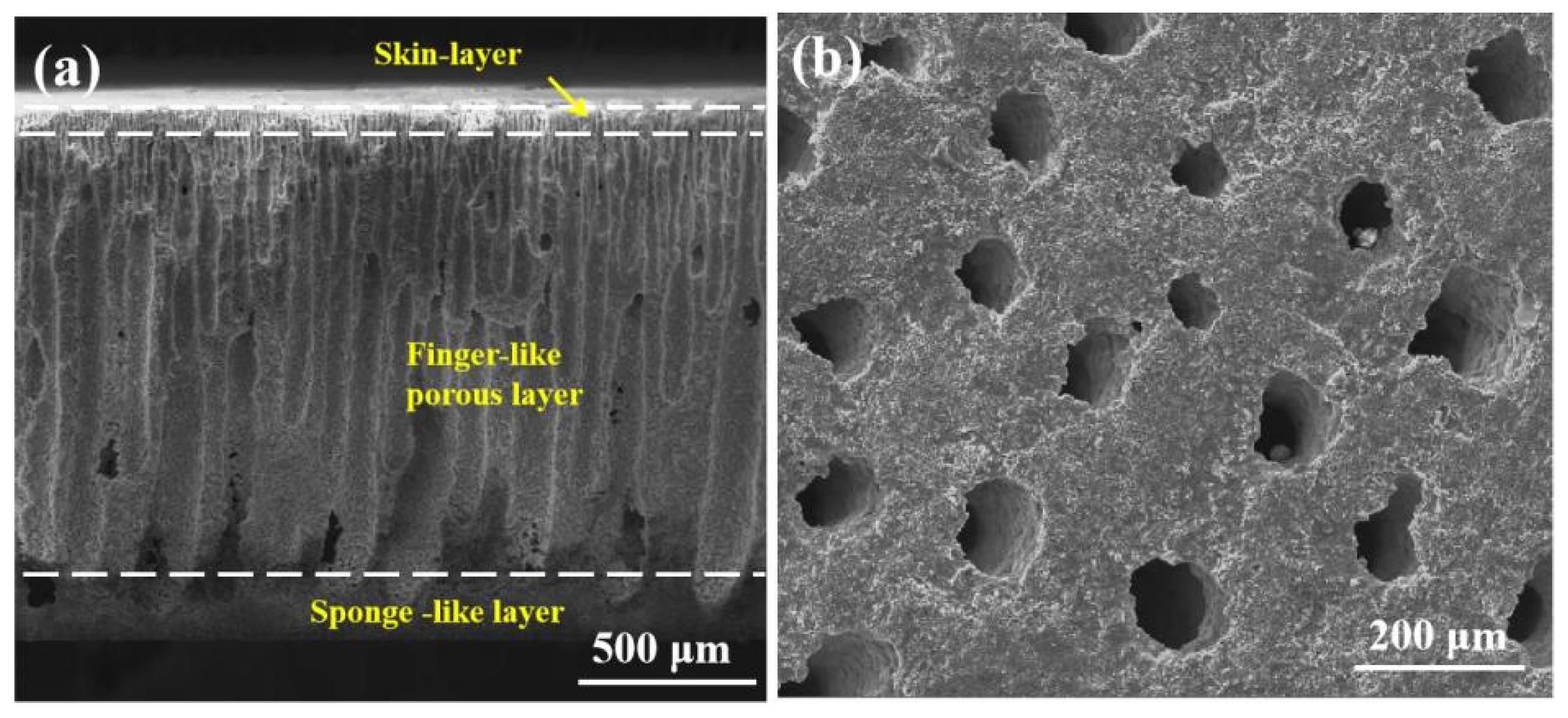 jesusun, JESUS Christ UN Law, JESUS Christ ICCDBB, Bible formulas, new Bible translations, JESUS Spirit, Oath Of Office, Faith JIA, speaks of low risk wine and alcohol with antibiotic properties and a new simplified way from the old for to measure alcohol per person including embryos, you are full of holes, wormholes, porous, clay, aroma, aromatics, nose, tongue, sponge.