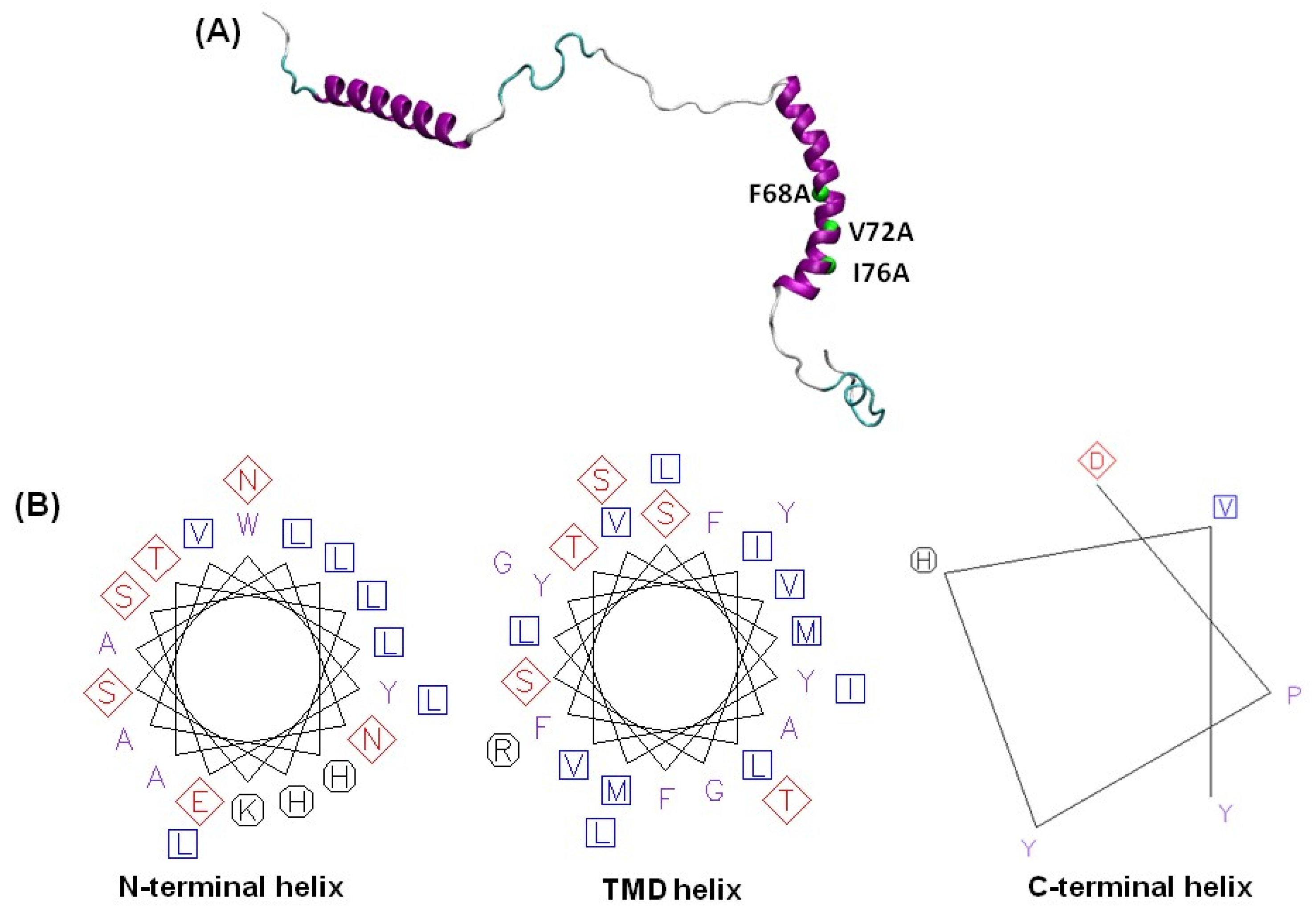 Membranes 14 00045 g001