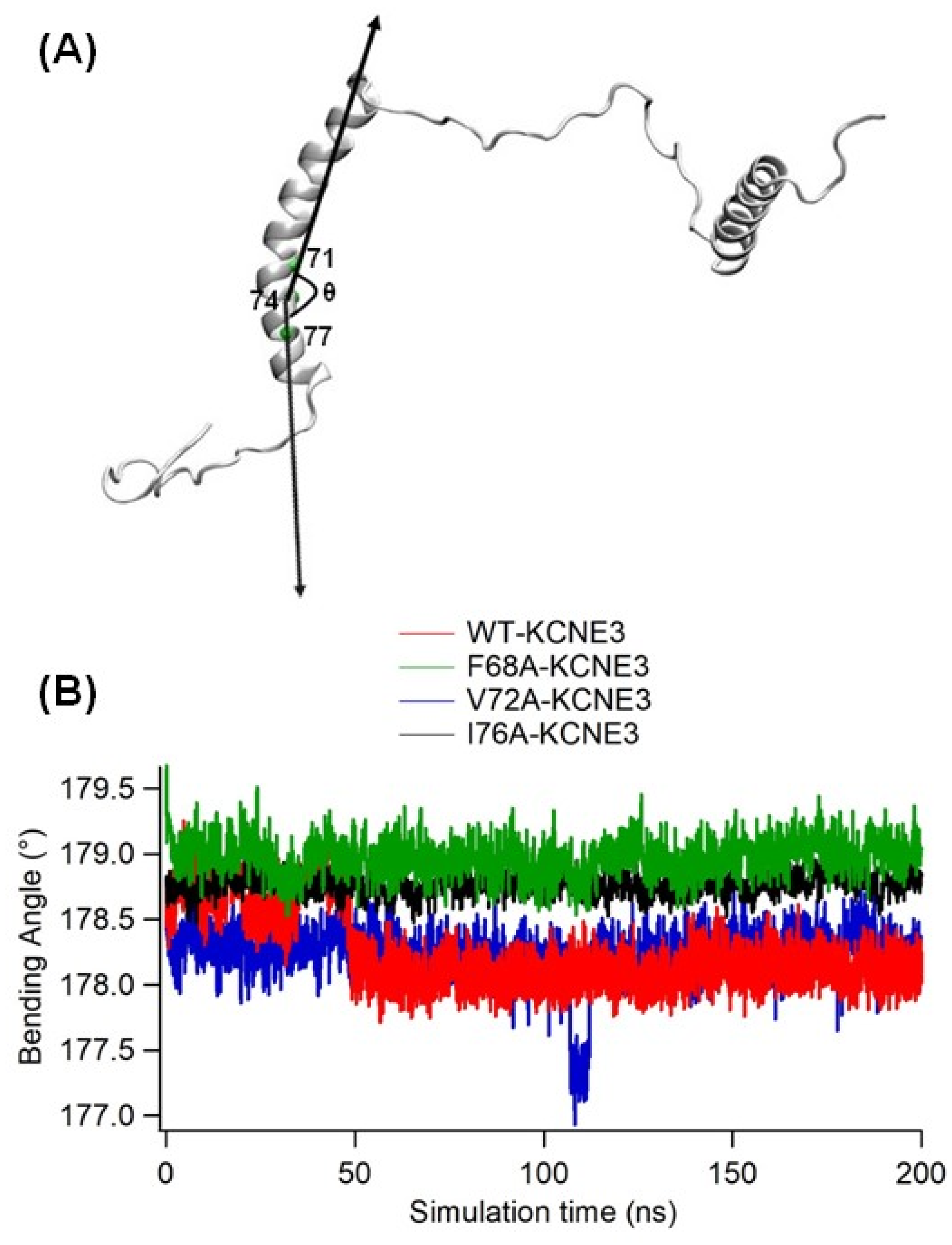 Membranes 14 00045 g004