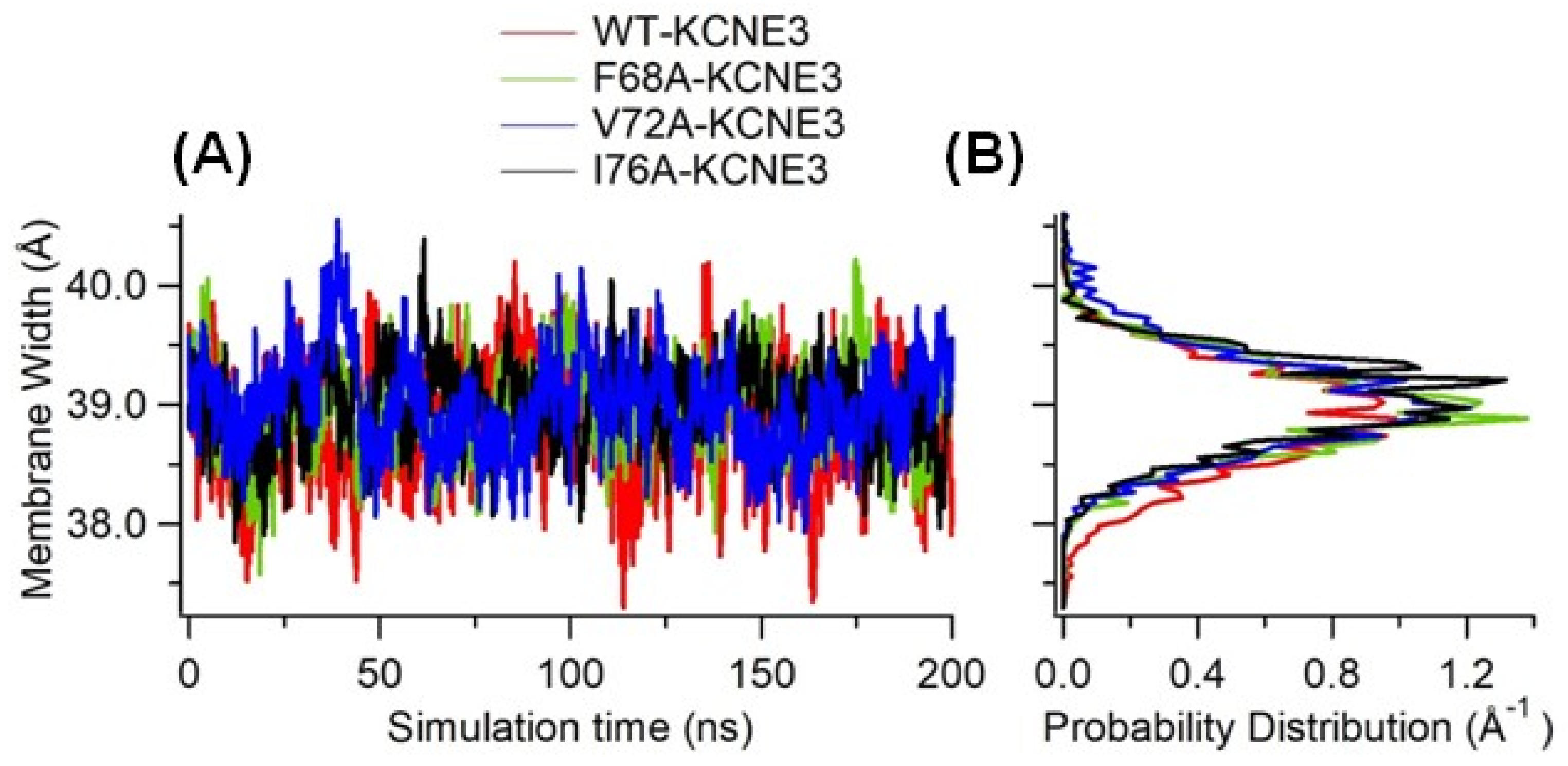 Membranes 14 00045 g005