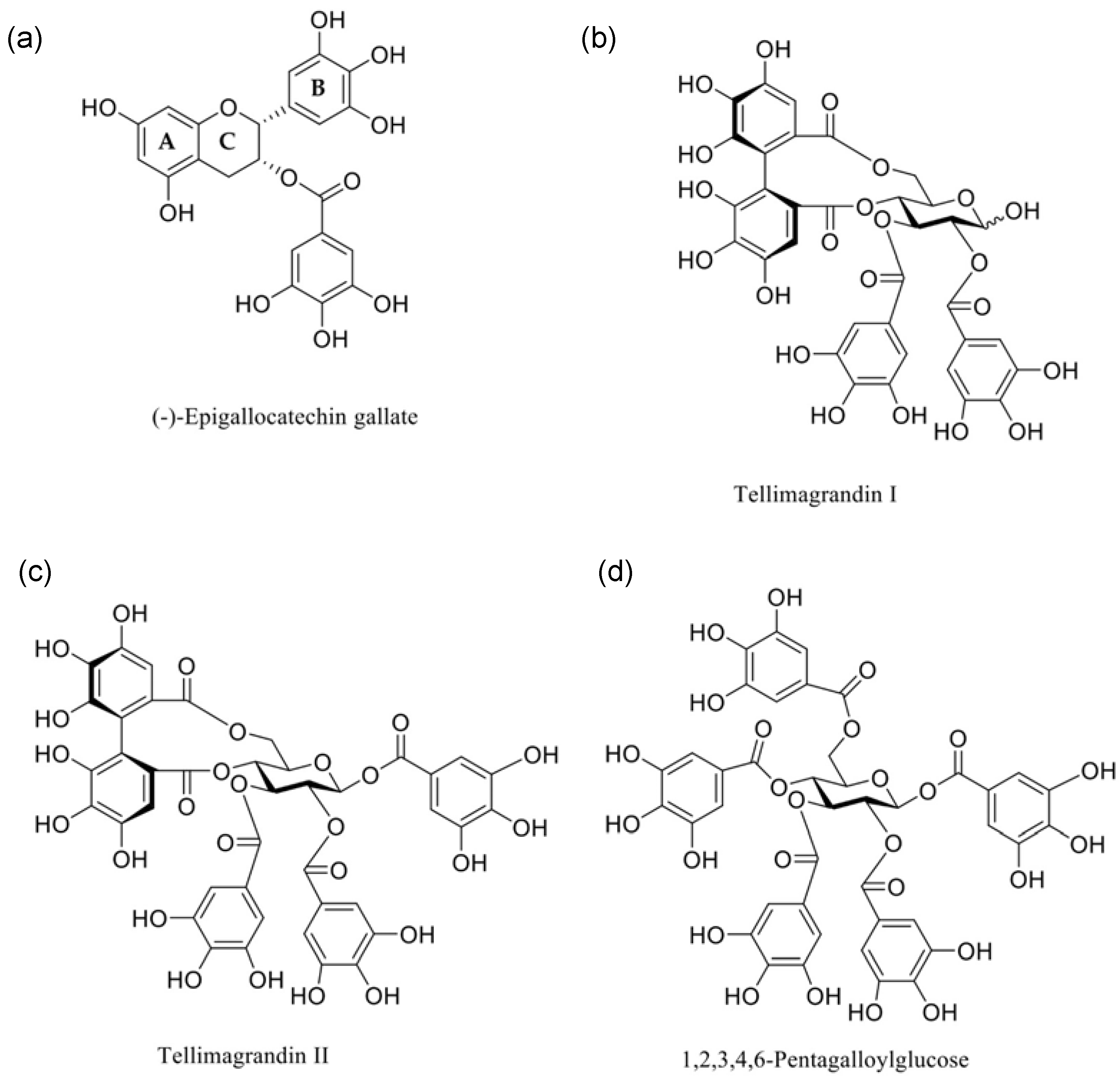 Membranes 14 00047 g001