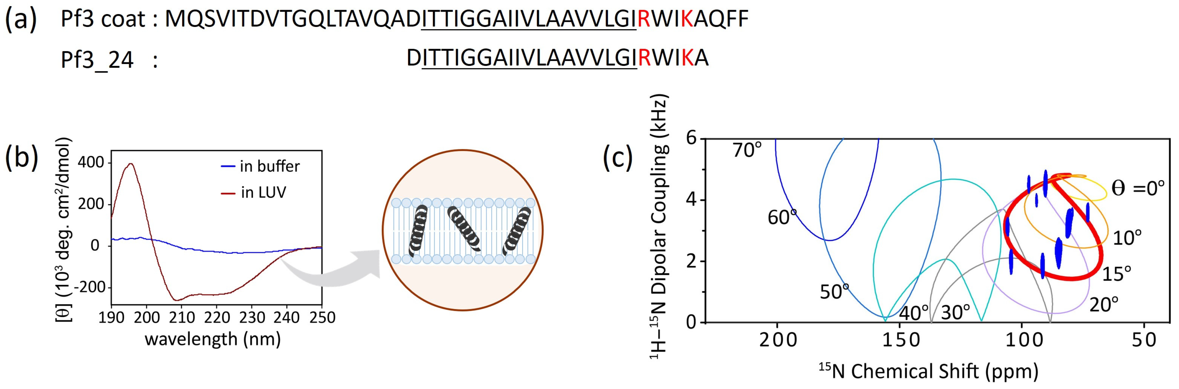 Membranes 14 00048 g002