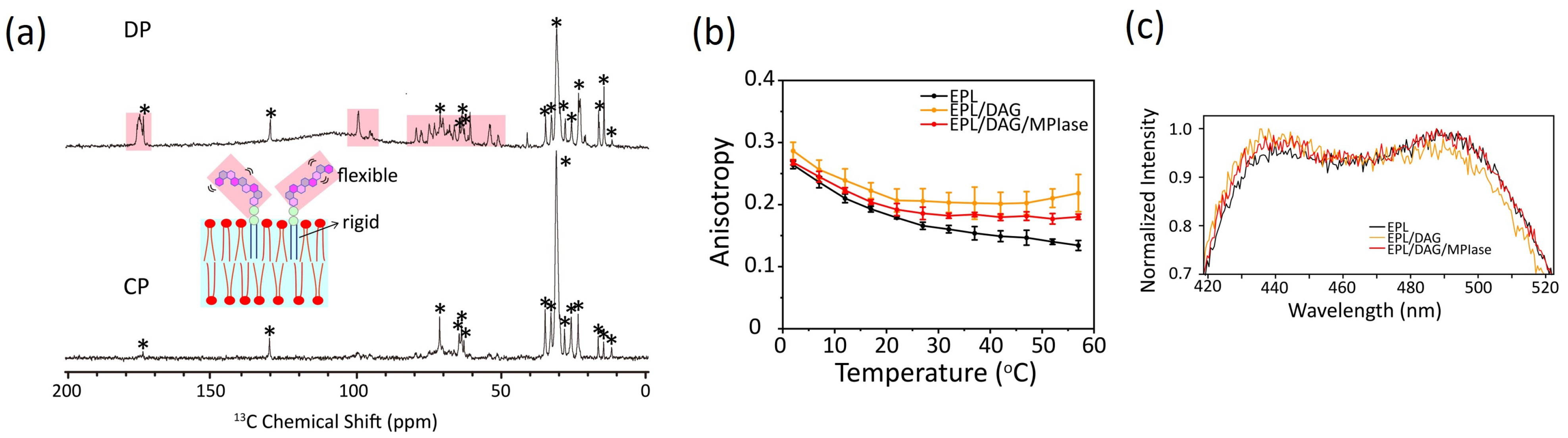 Membranes 14 00048 g006